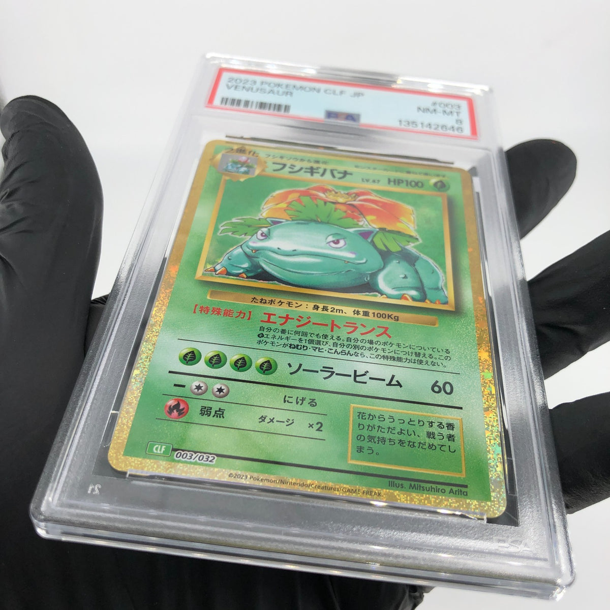 PSA 8 Pokemon Card Venusaur 003/032 CLF Japanese Karte [8]