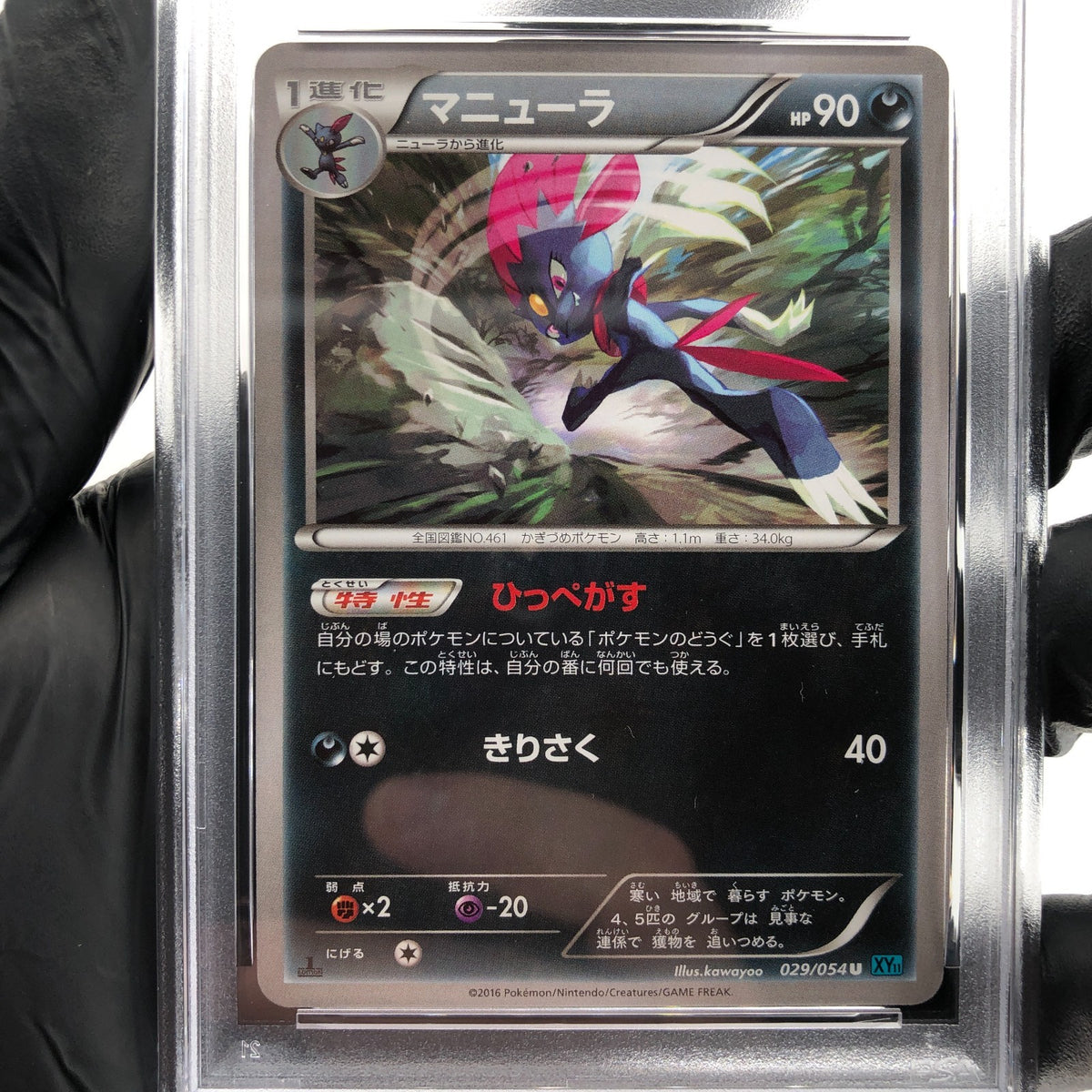 PSA 9 Pokemon Card Weavile 029/054 U 1.Edition XY11 Japanese Karte [9]