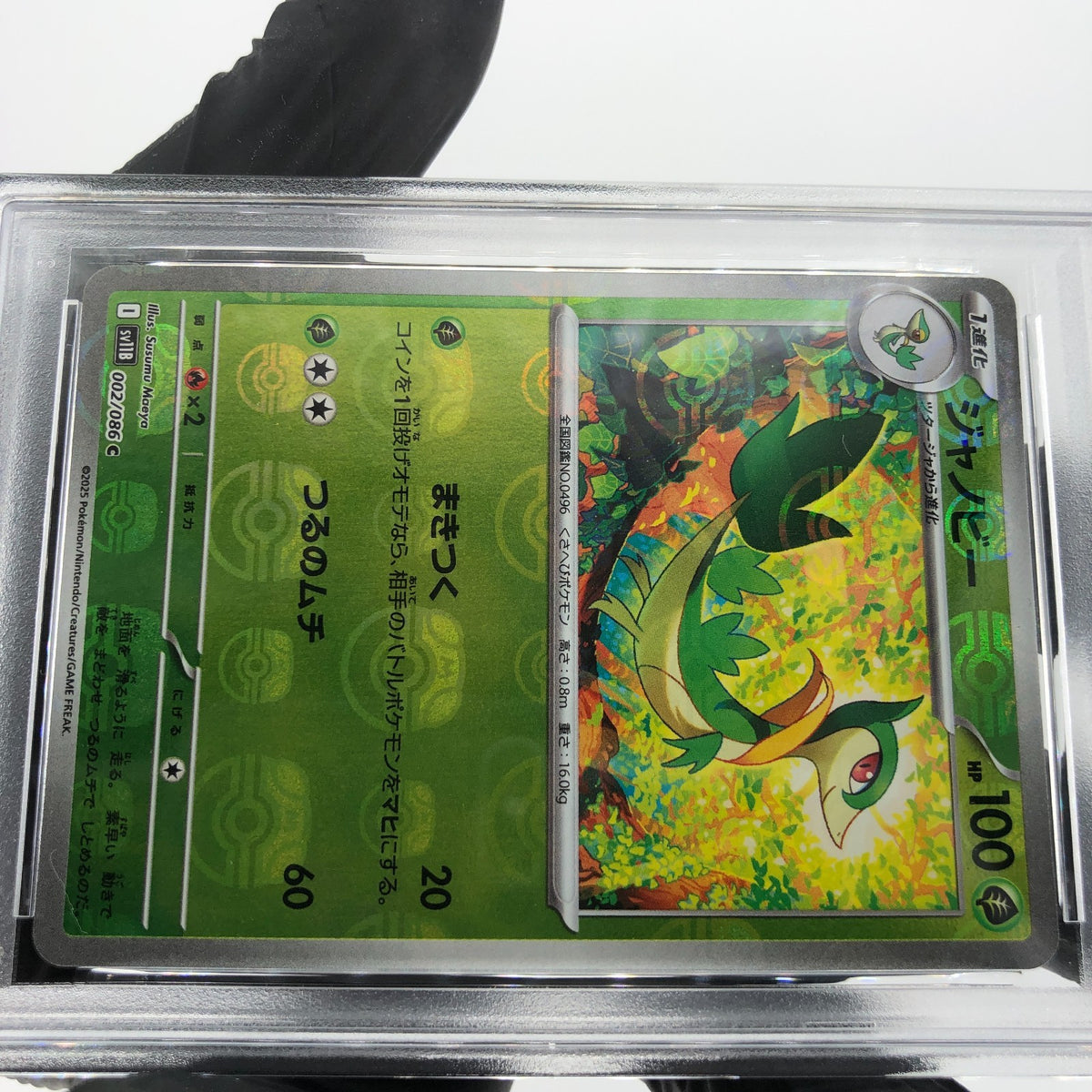 PSA 9 Pokemon Card Servine 002/086 C Masterball SV11B Japanese Karte [9]