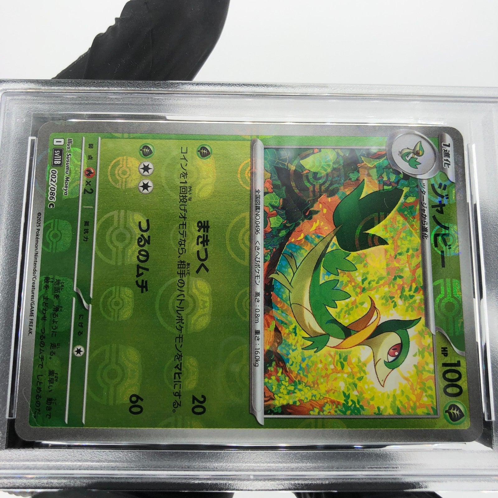 PSA 9 Pokemon Card Servine 002/086 C Masterball SV11B Japanese Karte [9]