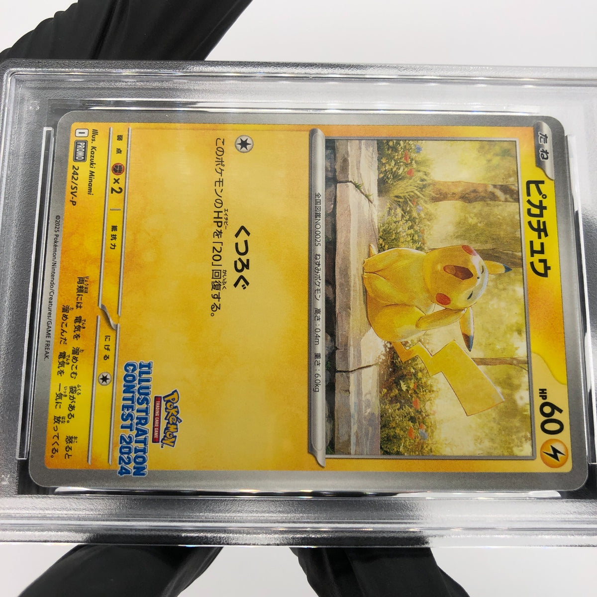 PSA 9 Pokemon Card Pikachu 242/SV-P Illustration Promo Japanese Karte [9]