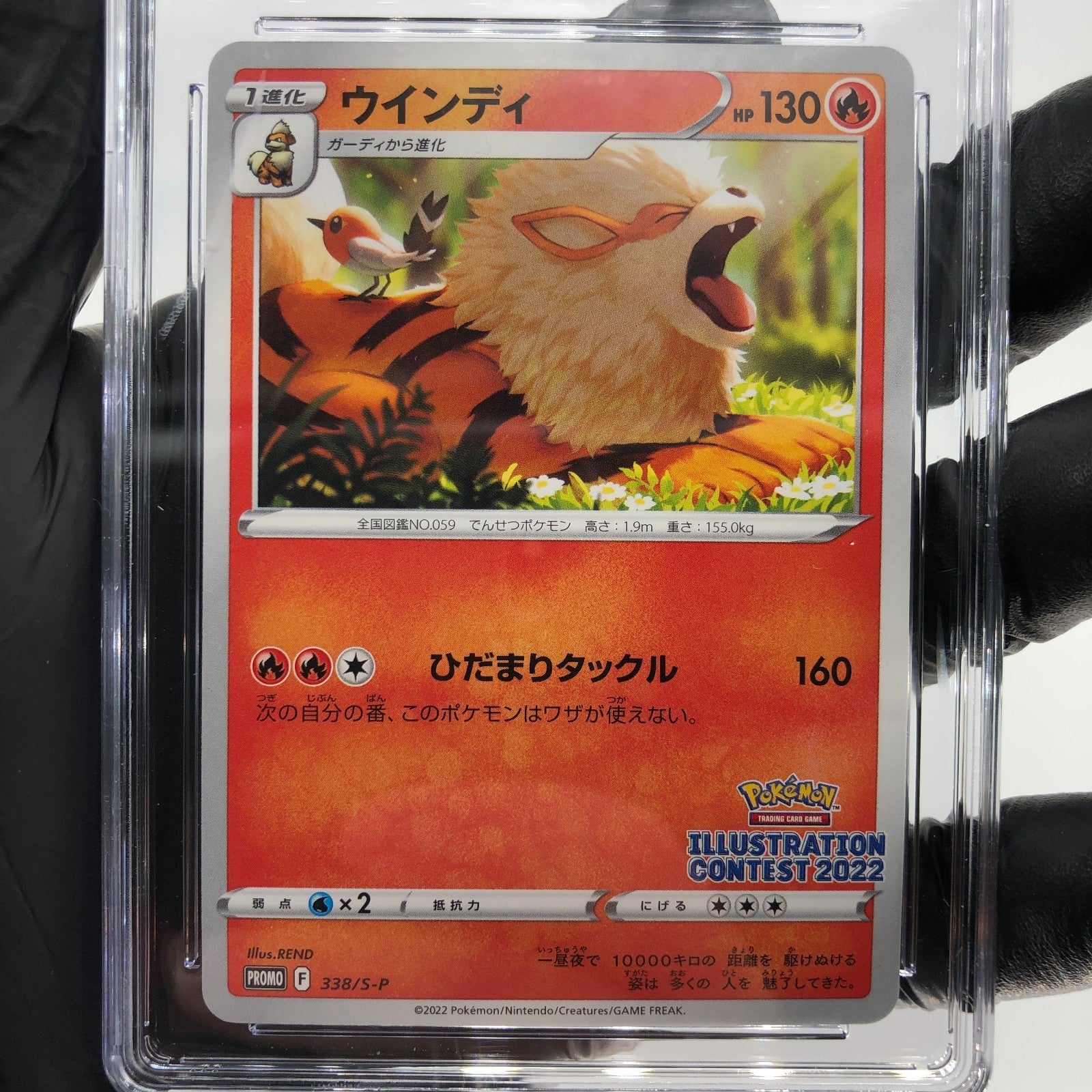 CGC 10 Pokemon Card Arcanine 338/S-P Promo 2022 Japanese Karte [10]