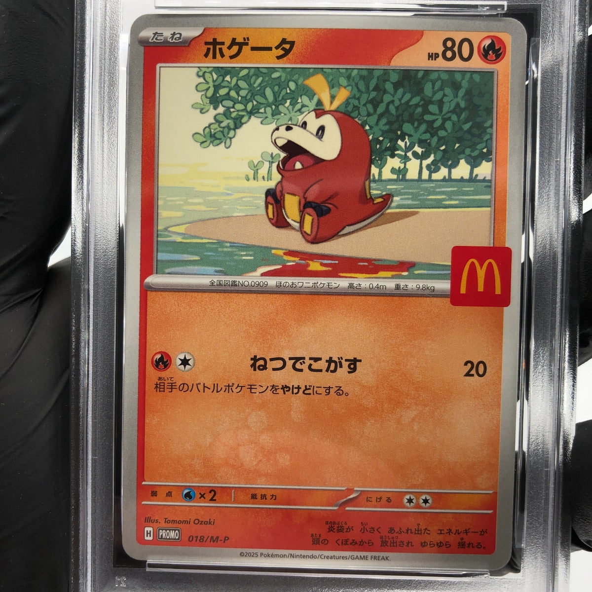 PSA 10 Pokemon Card Fuecoco 018/M-P McDOnalds Promo Japanese Karte [10]