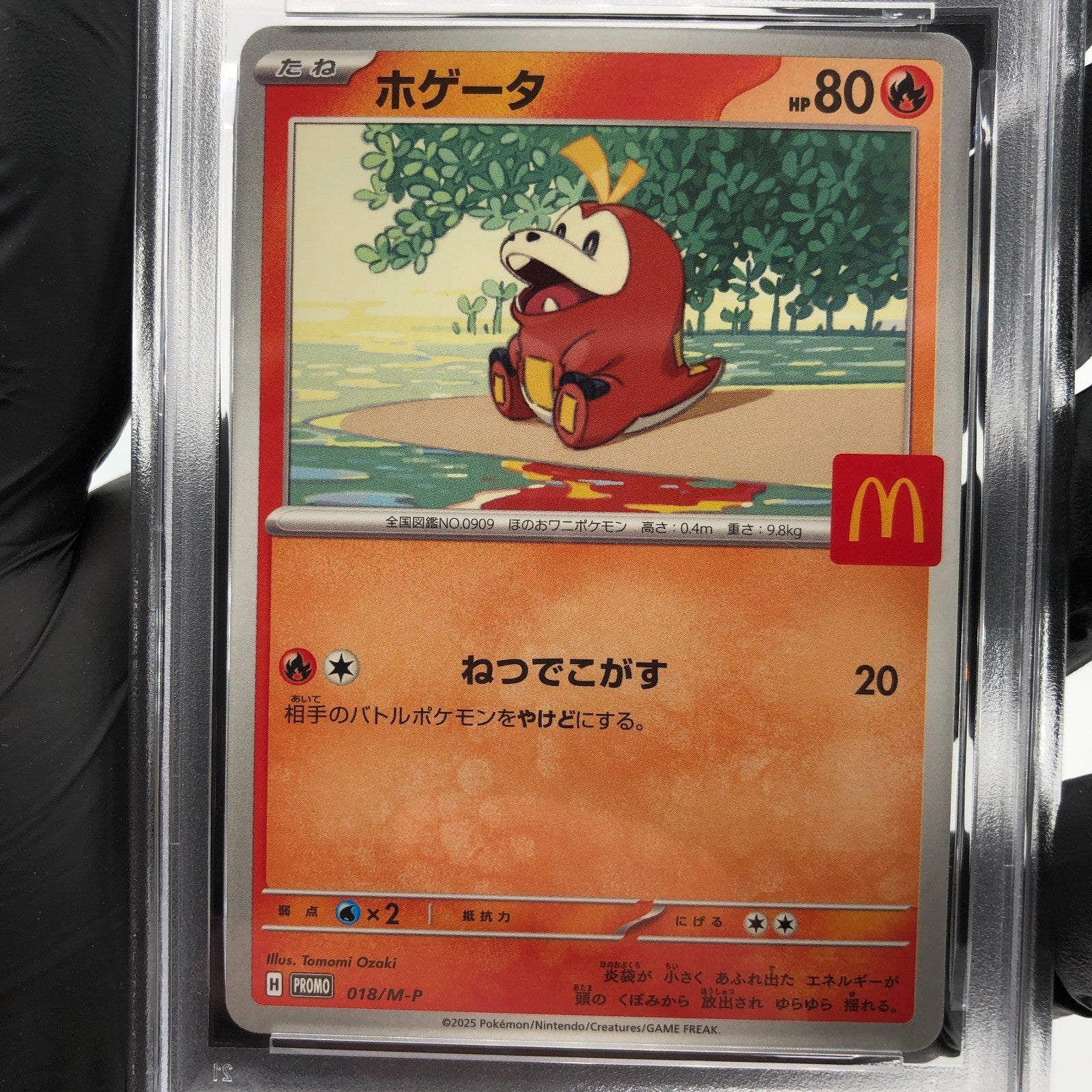 PSA 10 Pokemon Card Fuecoco 018/M-P McDOnalds Promo Japanese Karte [10]