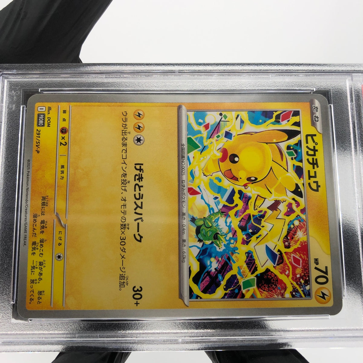 PSA 8 Pokemon Card Pikachu 291/SV-P Gym Event Promo Japanese Karte [8]