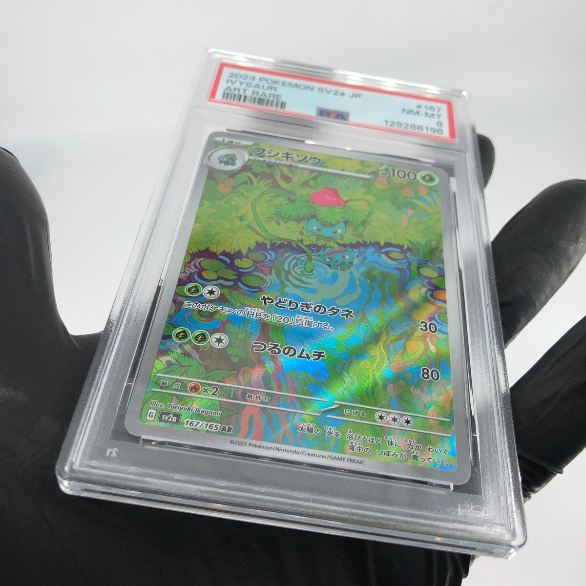 PSA 8 Pokemon Card Ivysaur AR 167/165 SV2a Japanese Karte [8]