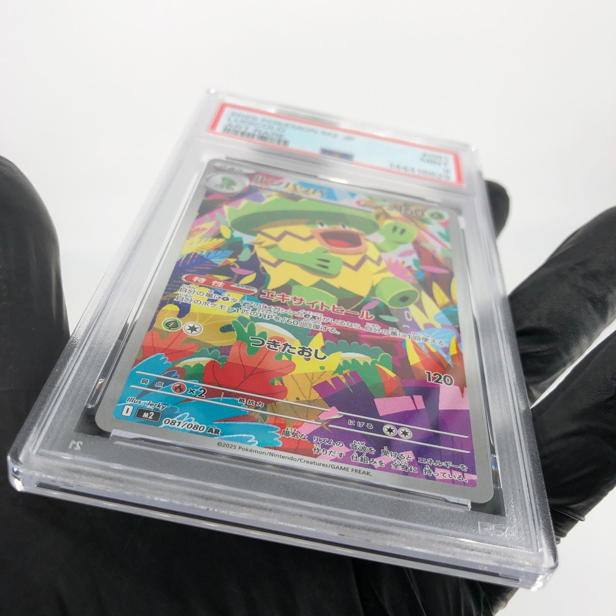 PSA 9 Pokemon Card Ludicolo 081/080 AR M2 Japanese Karte [9] 3