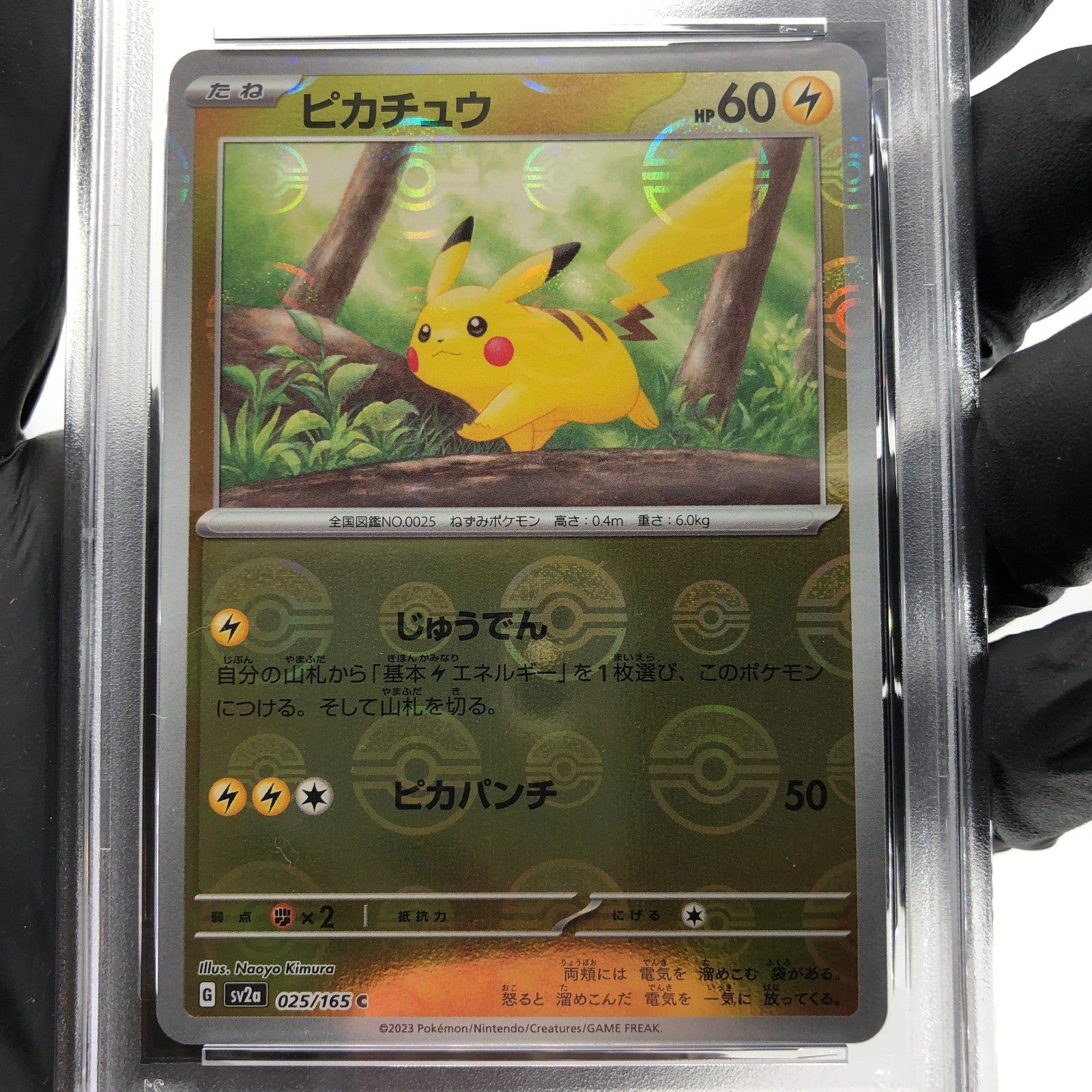 PSA 9 Pokemon Card Pikachu 025/165 C Pokeball SV2a Japanese Karte [9]