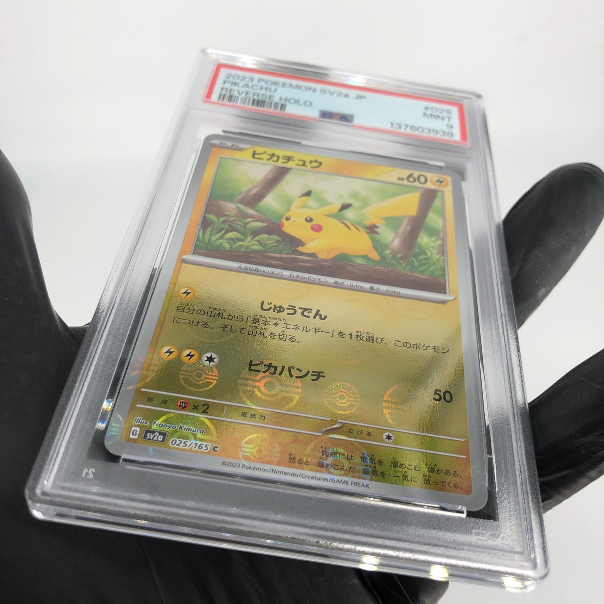 PSA 9 Pokemon Card Pikachu 025/165 C Pokeball SV2a Japanese Karte [9]