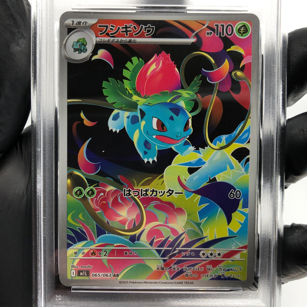 PSA 9 Pokemon Card Ivysaur 065/063 AR M1L Japanese Karte [9] 2