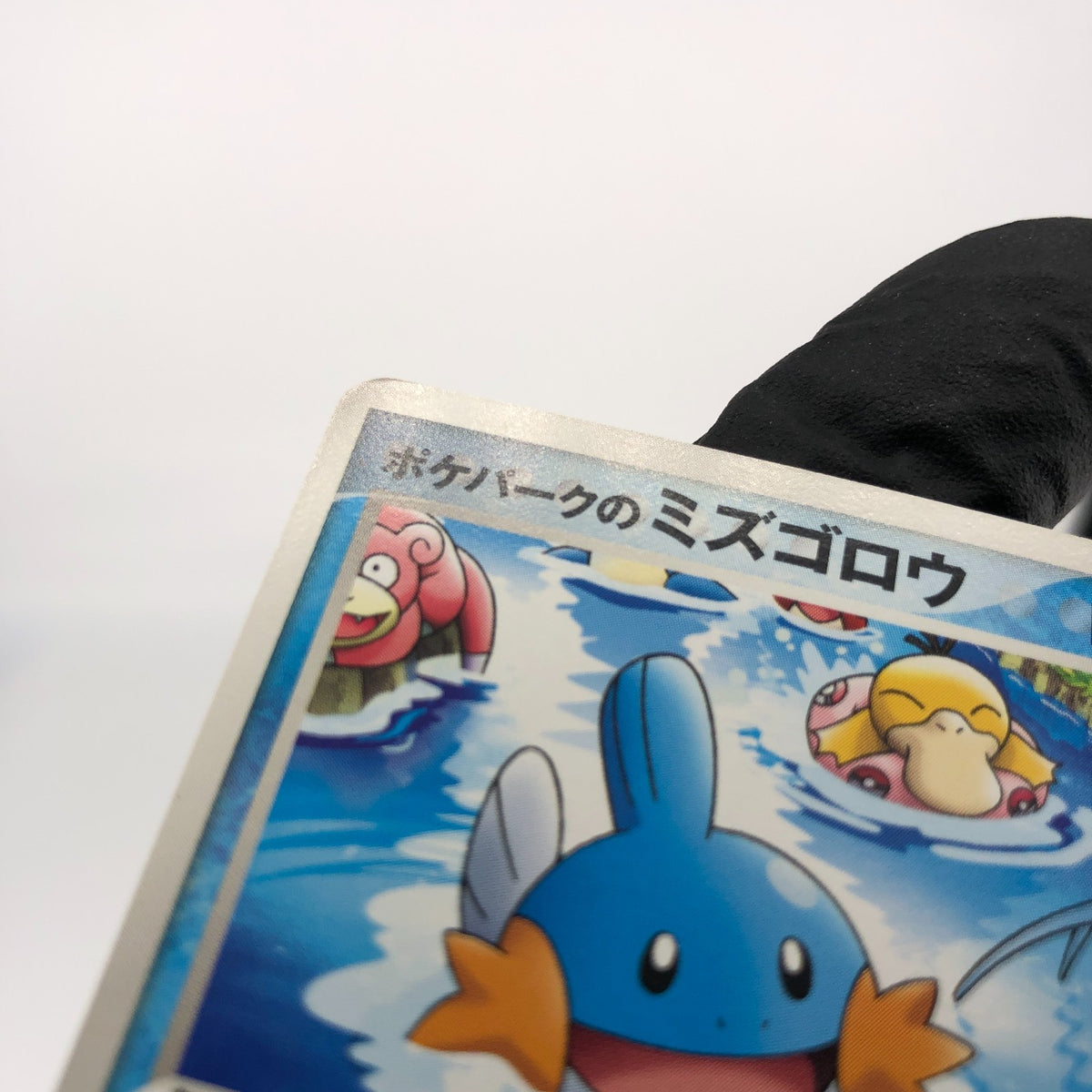 Pokemon Card Mudkip 048/PCG-P Pokepark Promo 2005 Japanese Karte [NM]