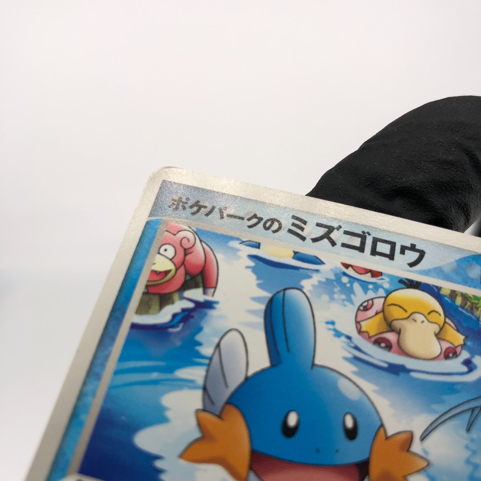 Pokemon Card Mudkip 048/PCG-P Pokepark Promo 2005 Japanese Karte [NM]