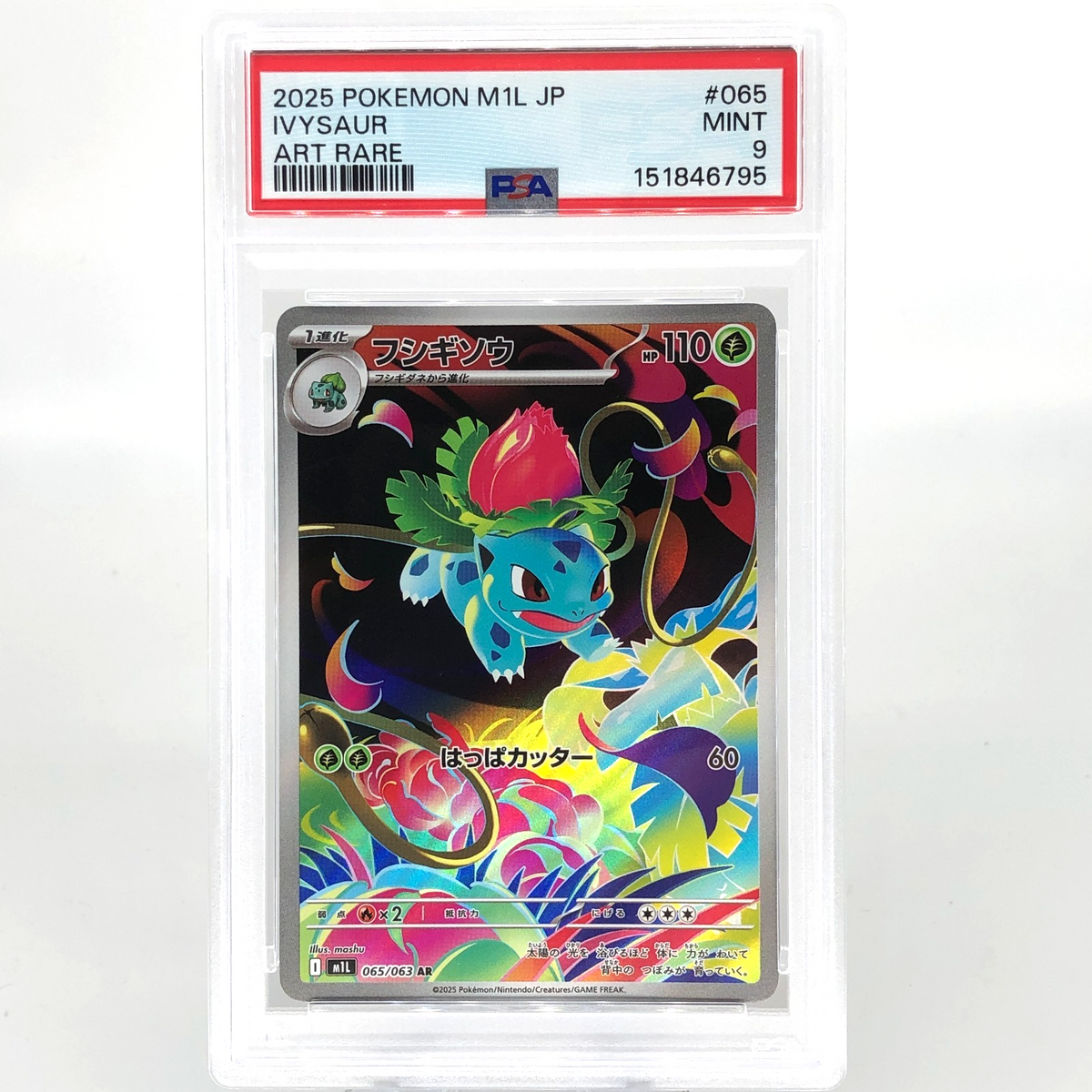 PSA 9 Pokemon Card Ivysaur 065/063 AR M1L Japanese Karte [9]