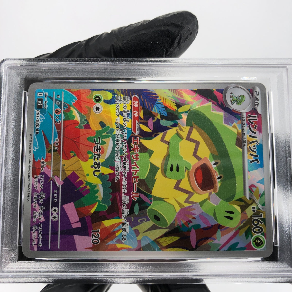 PSA 9 Pokemon Card Ludicolo 081/080 AR M2 Japanese Karte [9] 2