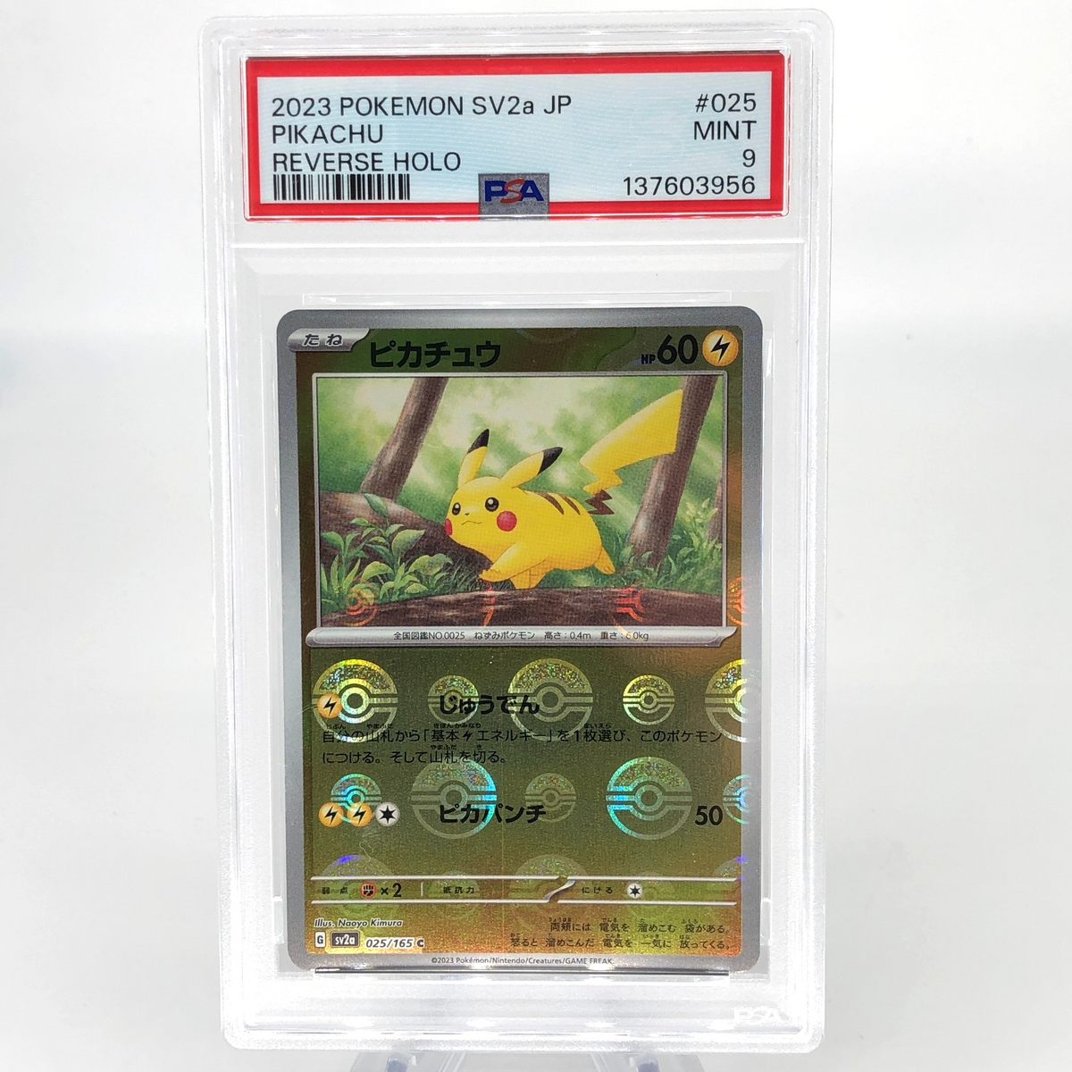 PSA 9 Pokemon Card Pikachu 025/165 C Pokeball SV2a Japanese Karte [9]