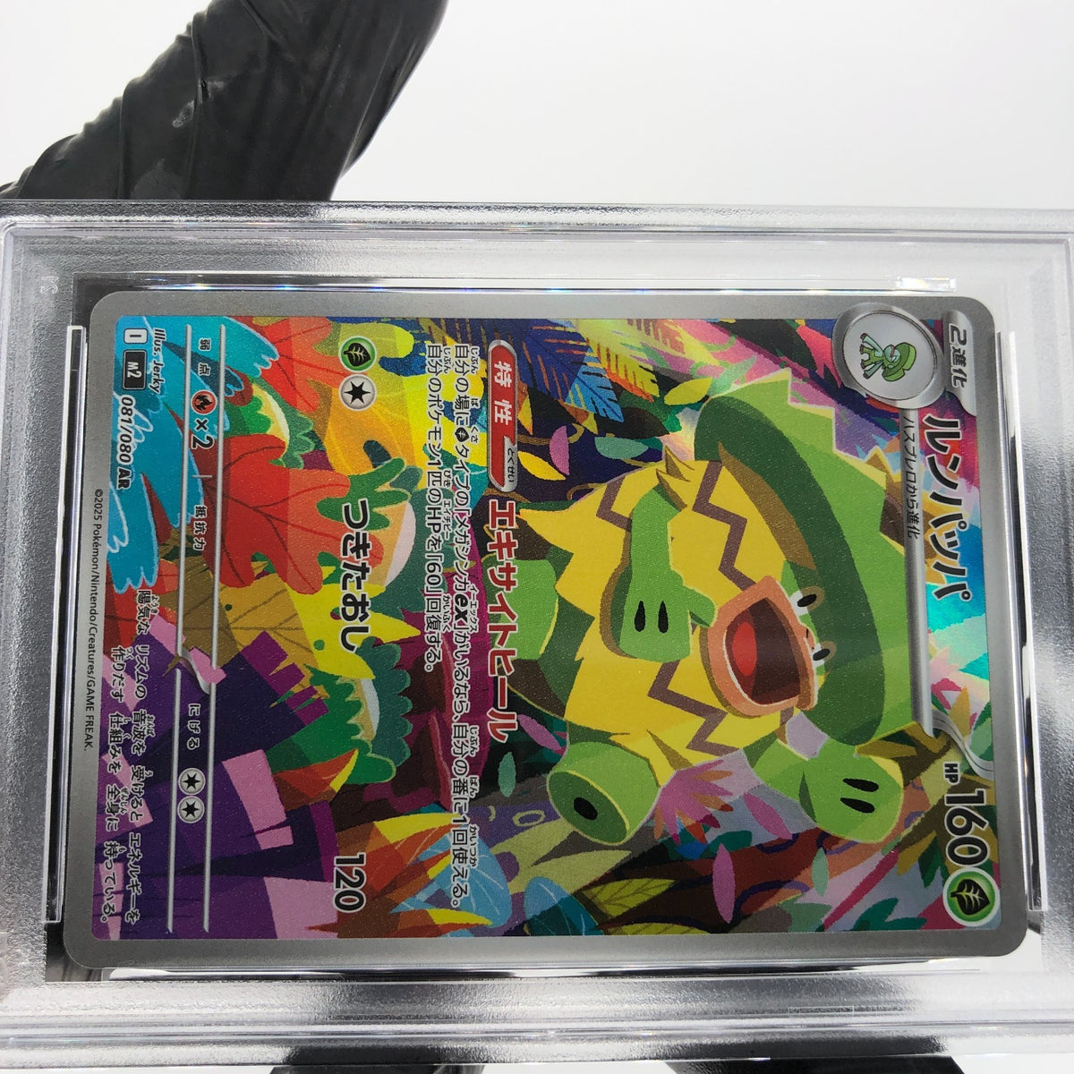PSA 9 Pokemon Card Ludicolo 081/080 AR M2 Japanese Karte [9] 3