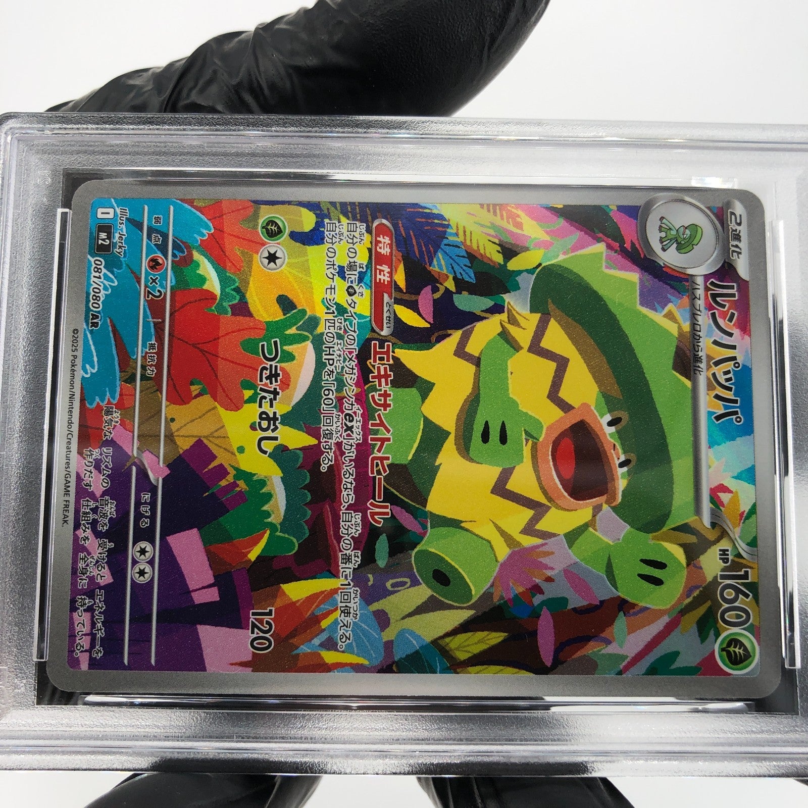 PSA 9 Pokemon Card Ludicolo 081/080 AR M2 Japanese Karte [9]