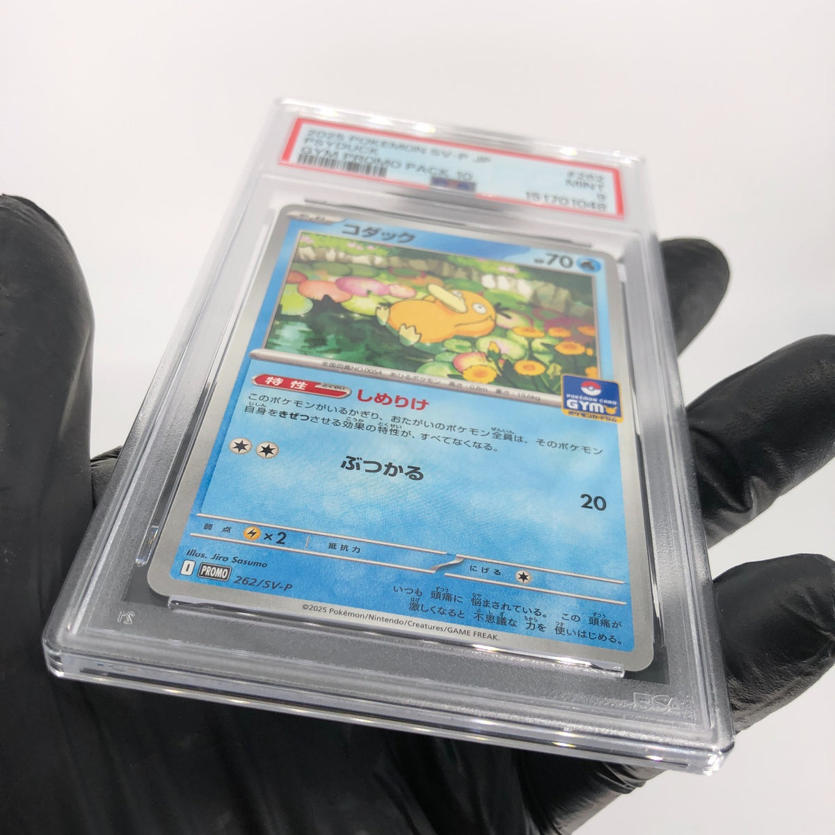 PSA 9 Pokemon Card Psyduck 262/SV-P Gym Promo 2025 Japanese Karte [9]