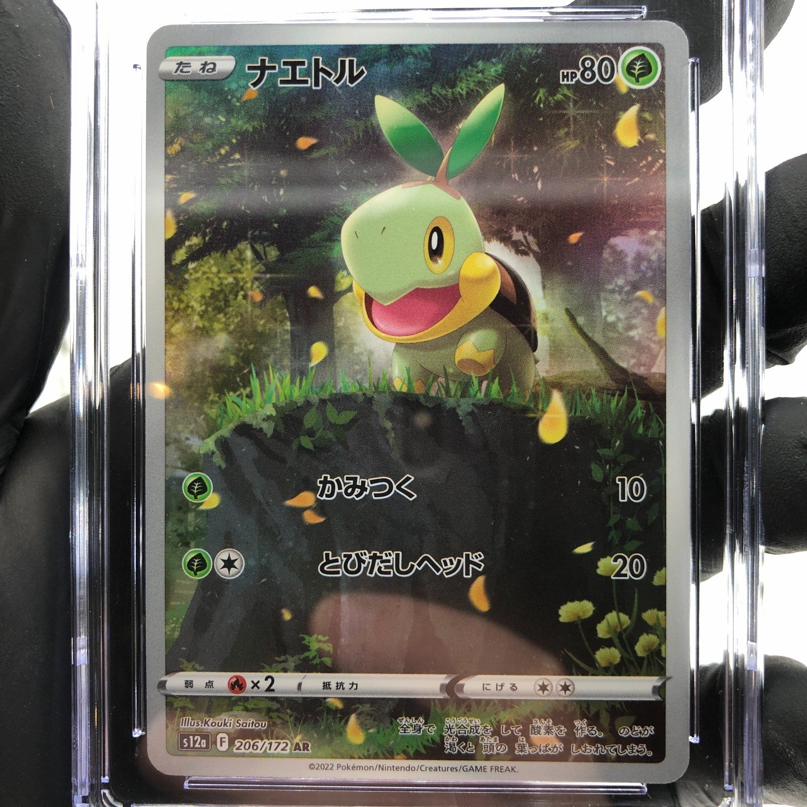 CGC 10 Pokemon Card Turtwig 206/172 AR s12a Japanese Karte [10]