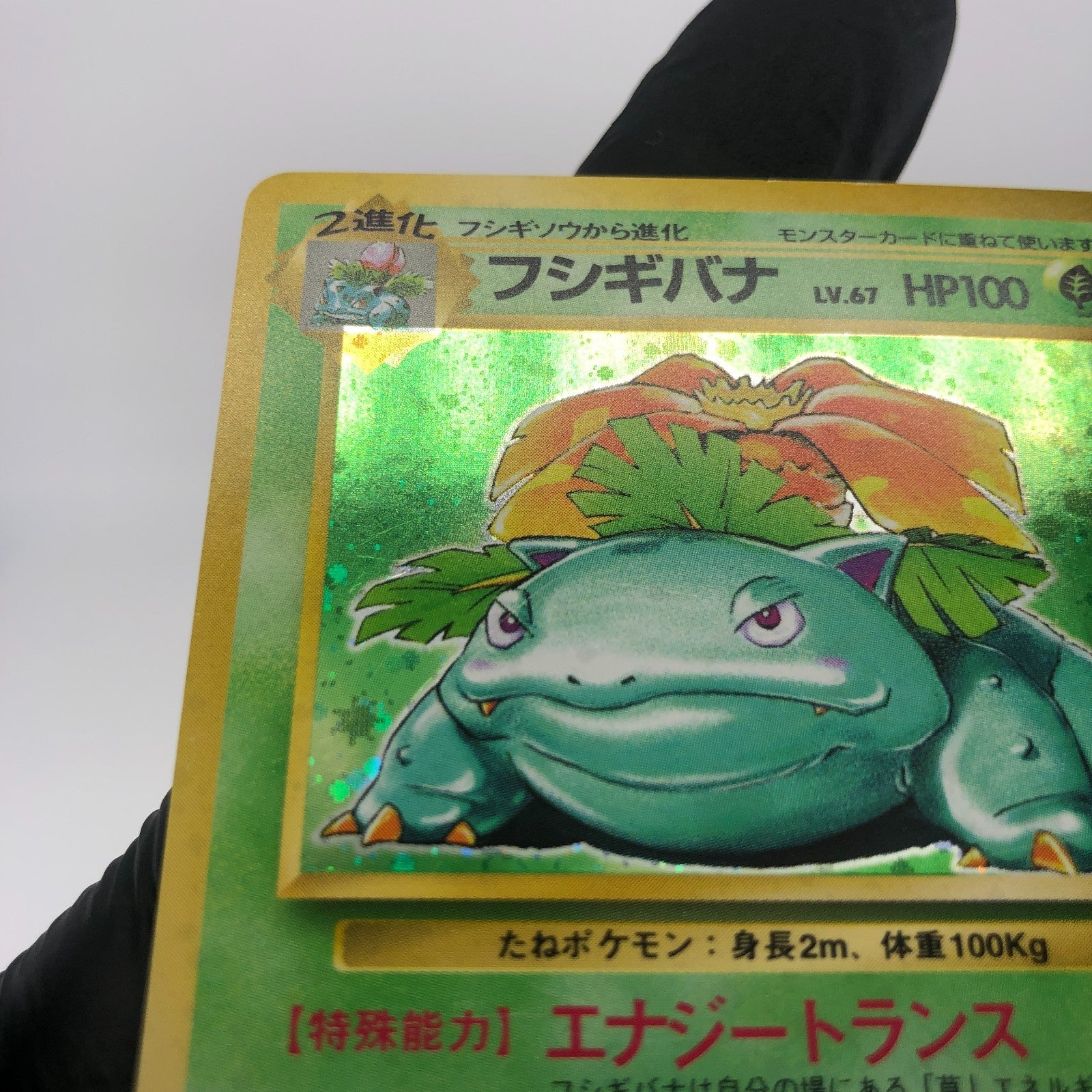 Pokemon Card Venusaur No.003 Base 1996 Holo japanese Karte [Exc.]