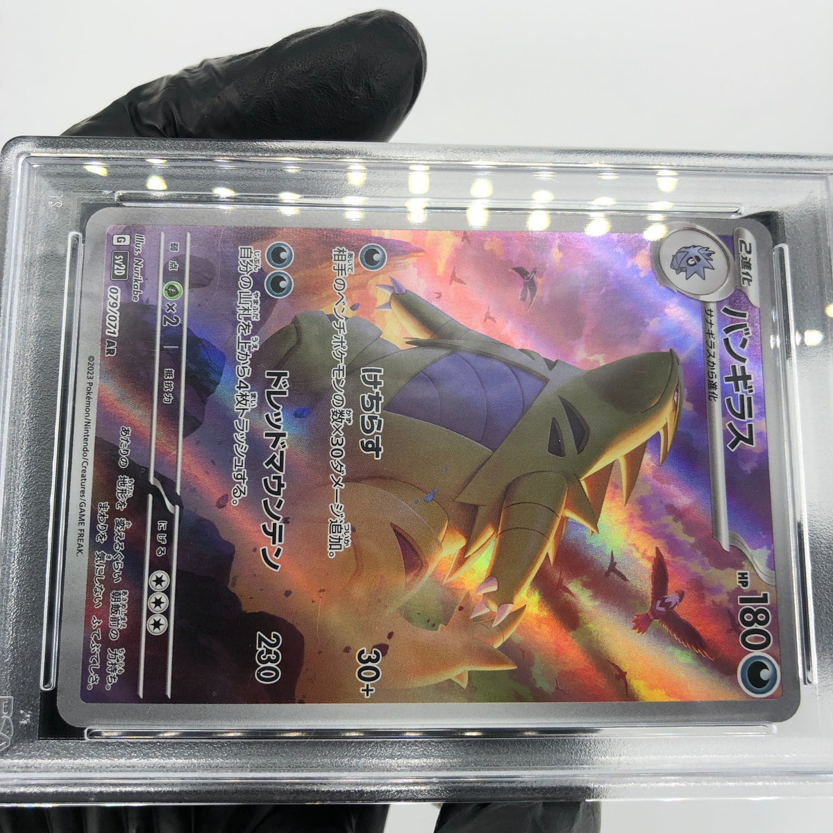 PSA 8 Pokemon Card Tyranitar 079/071 AR Sv2D Japanese Karte [8]