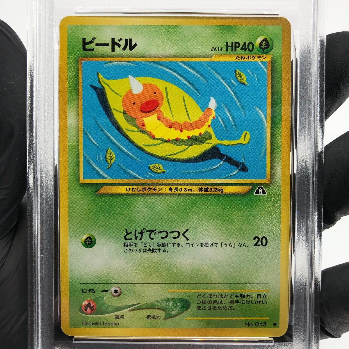 PSA 8 Pokemon Card Weedle No.013 Neo 2 Japanese 2000 Karte [8]
