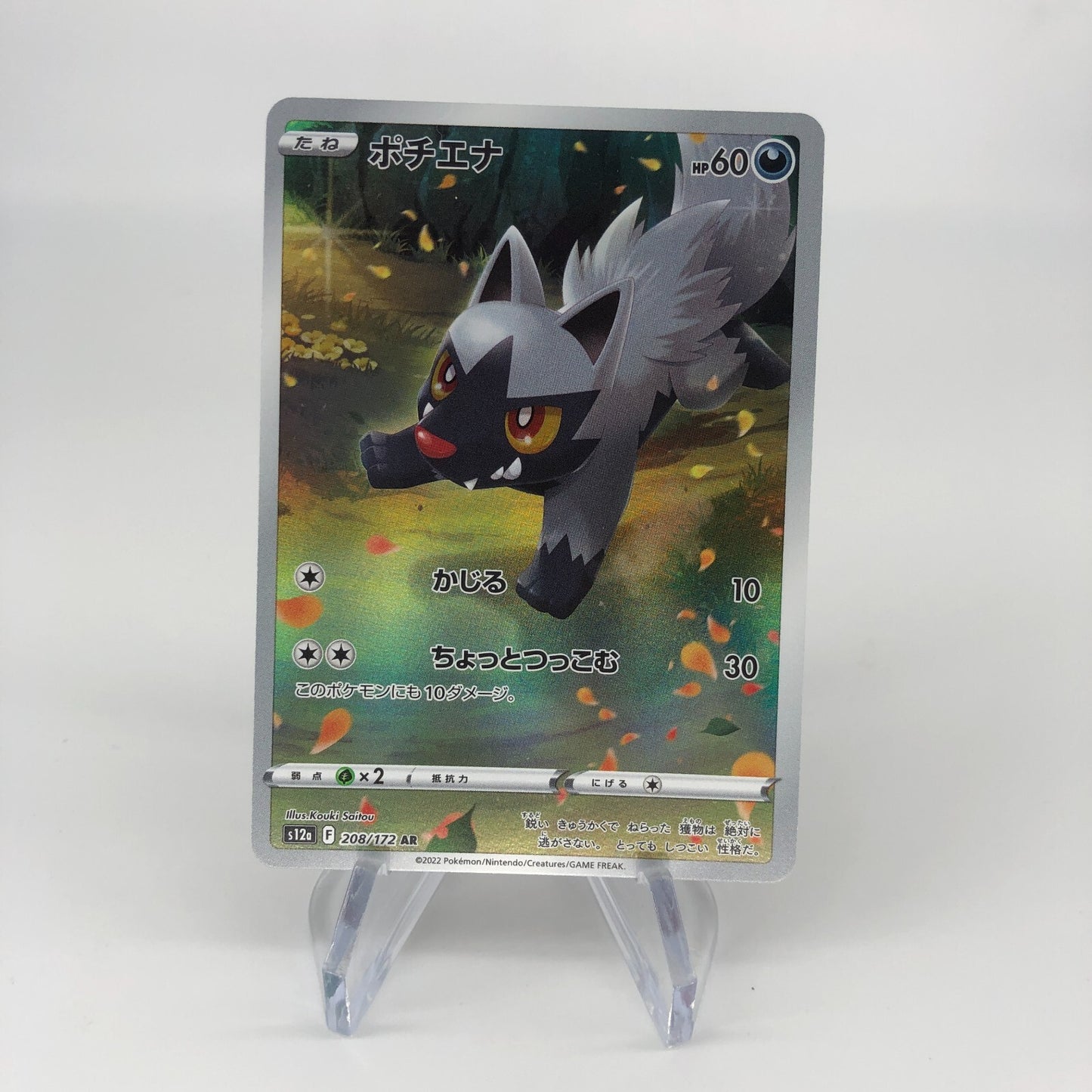 Pokemon Card Poochyena 208/172 AR s12a Full Art Foil Japanese Karte [Mint]