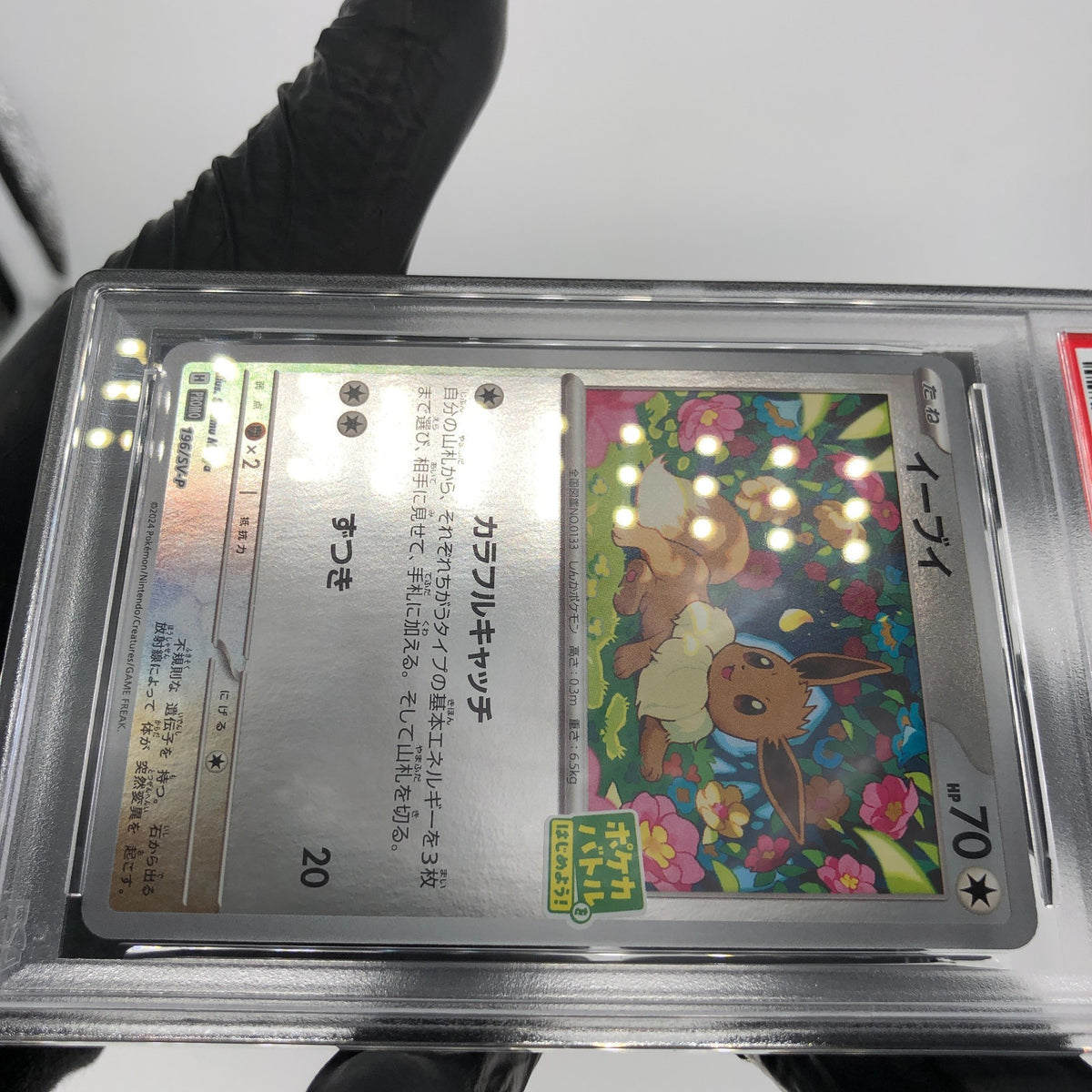 PSA 8 Pokemon Card Eevee 196/SV-P Promo Holo Japanese Karte [8]