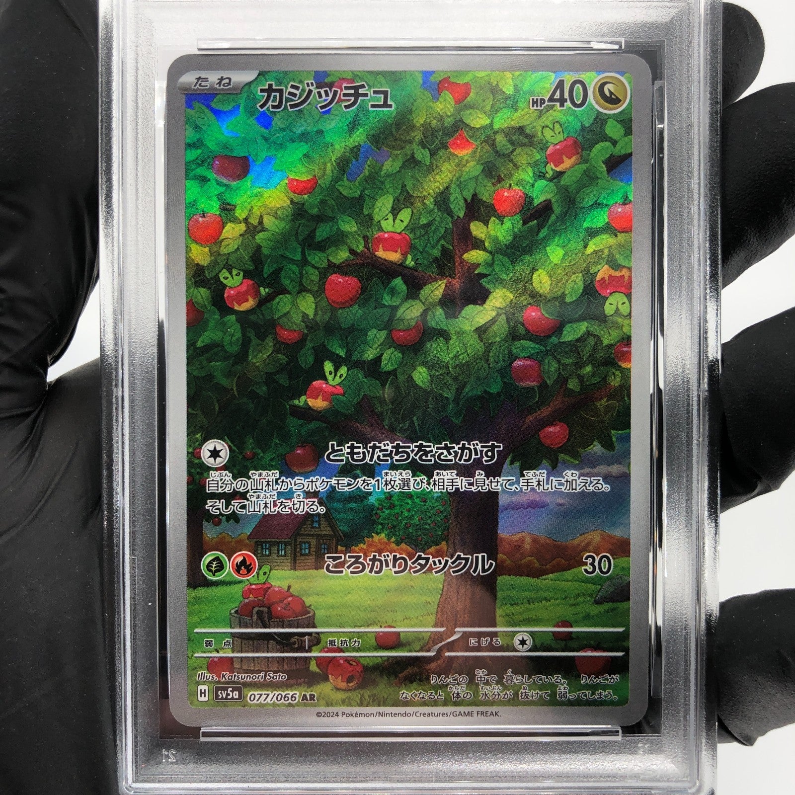 PSA 9 Pokemon Card Applin 077/066 AR SV5a Japanese Karte [9] 2