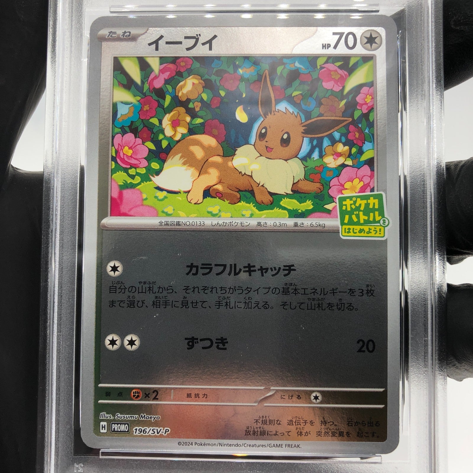 PSA 8 Pokemon Card Eevee 196/SV-P Promo Holo Japanese Karte [8] 2