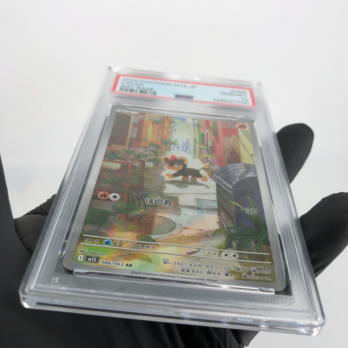 PSA 10 Pokemon Card Litleo 066/063 AR M1S Japanese Karte [10]