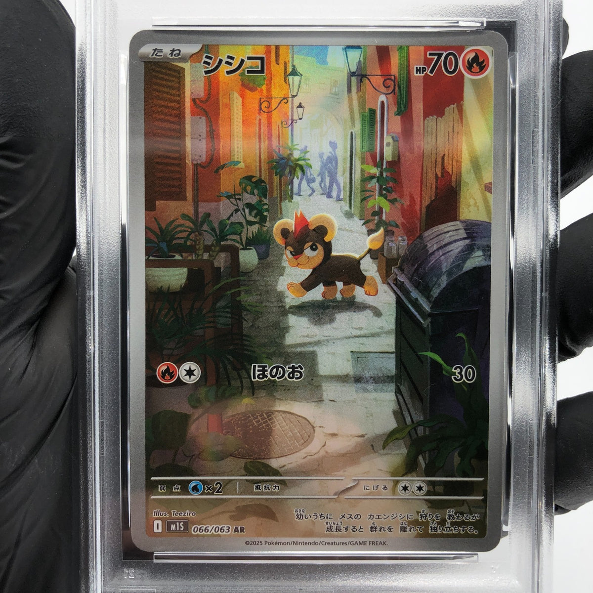 PSA 10 Pokemon Card Litleo 066/063 AR M1S Japanese Karte [10]