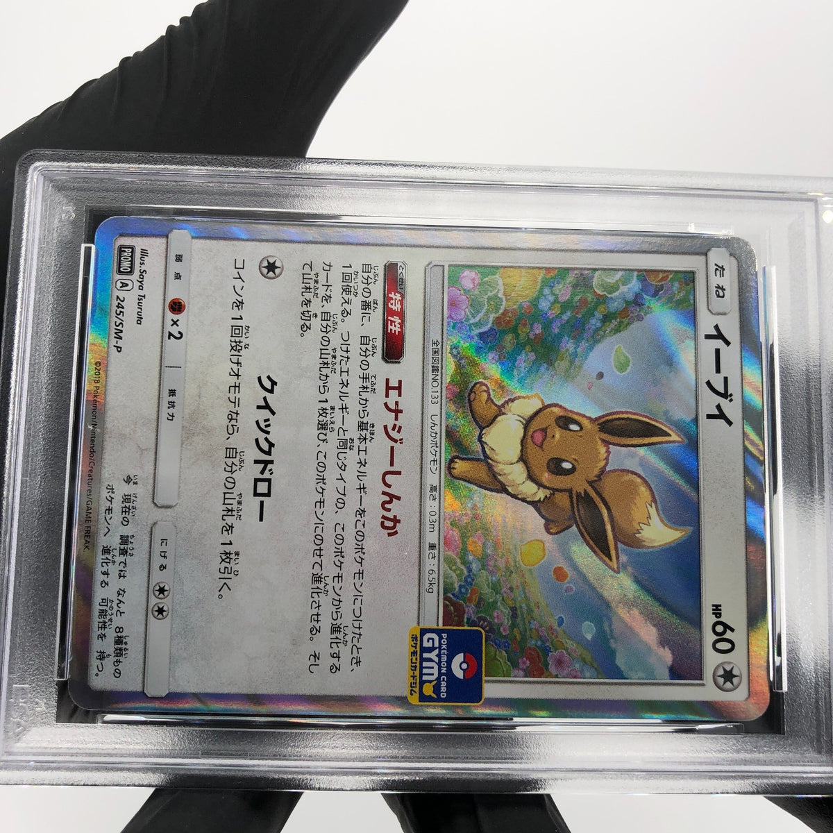 PSA 9 Pokemon Card Eevee 245/SM-P Promo Gym Holo Japanese Karte [9]