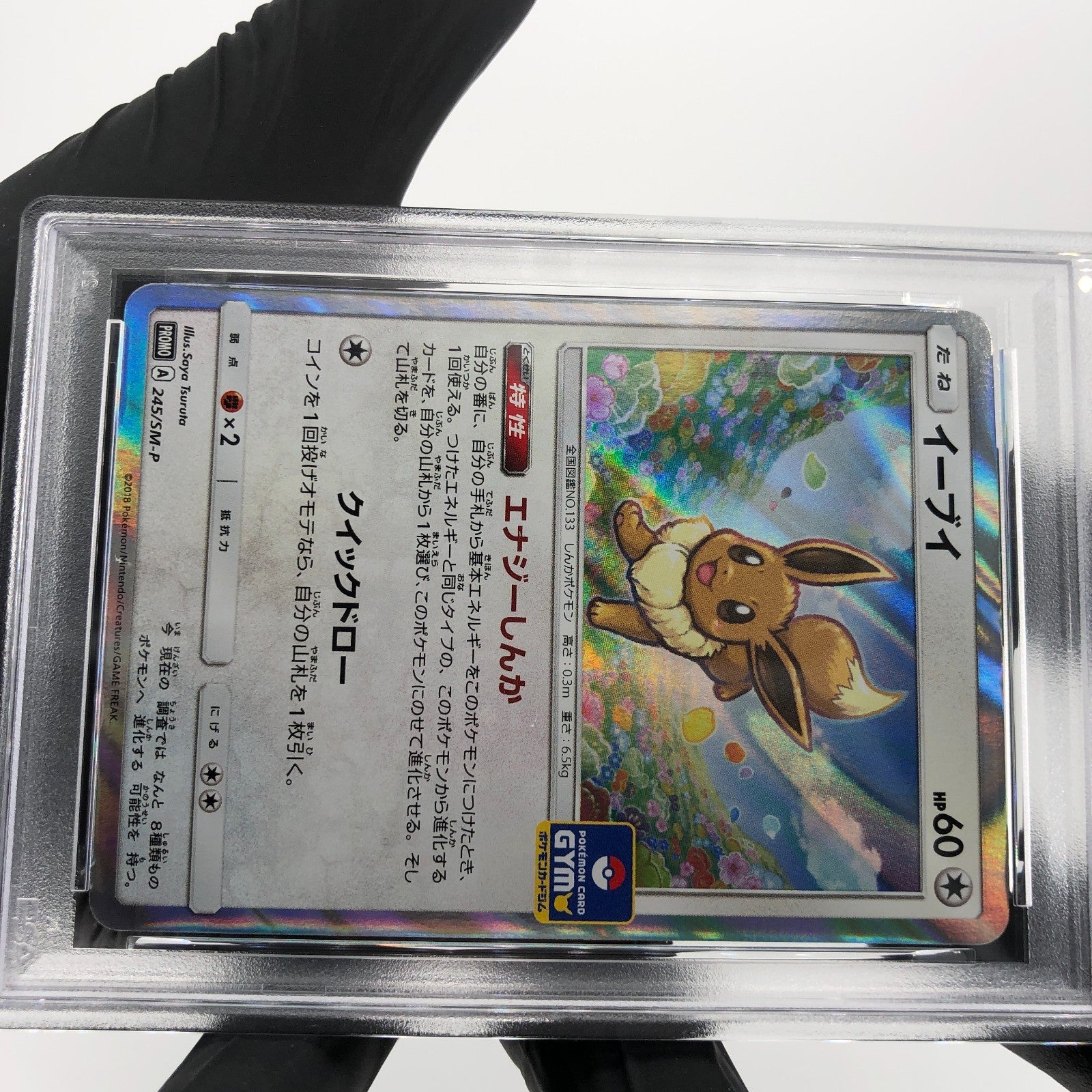PSA 9 Pokemon Card Eevee 245/SM-P Promo Gym Holo Japanese Karte [9]