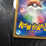 Pokemon Card Munchlax 040/PCG-P Pokepark Promo 2005 Japanese Karte [NM]