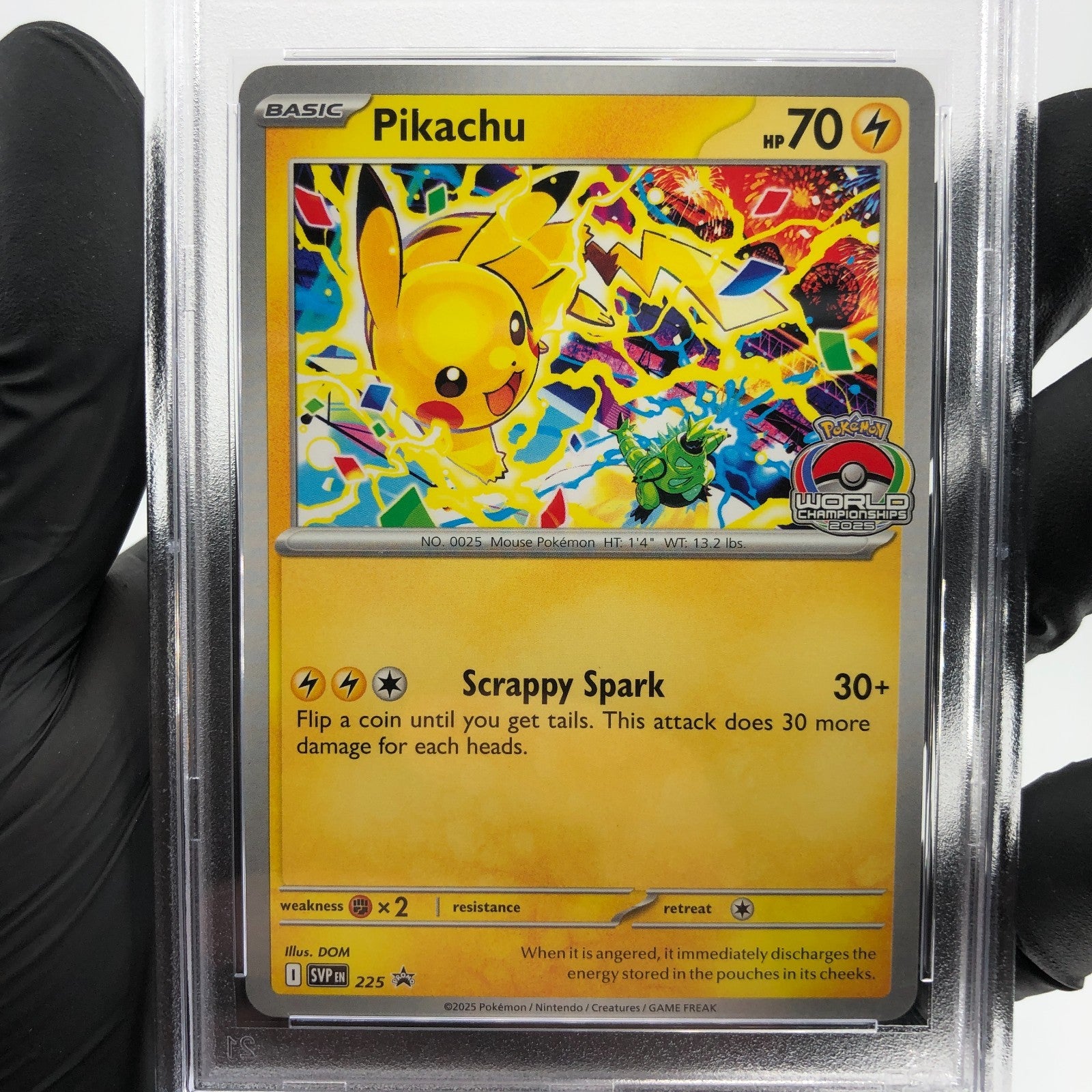 PSA 8 Pokemon Card Pikachu 225 SVP World Championship Promo English Karte [8]