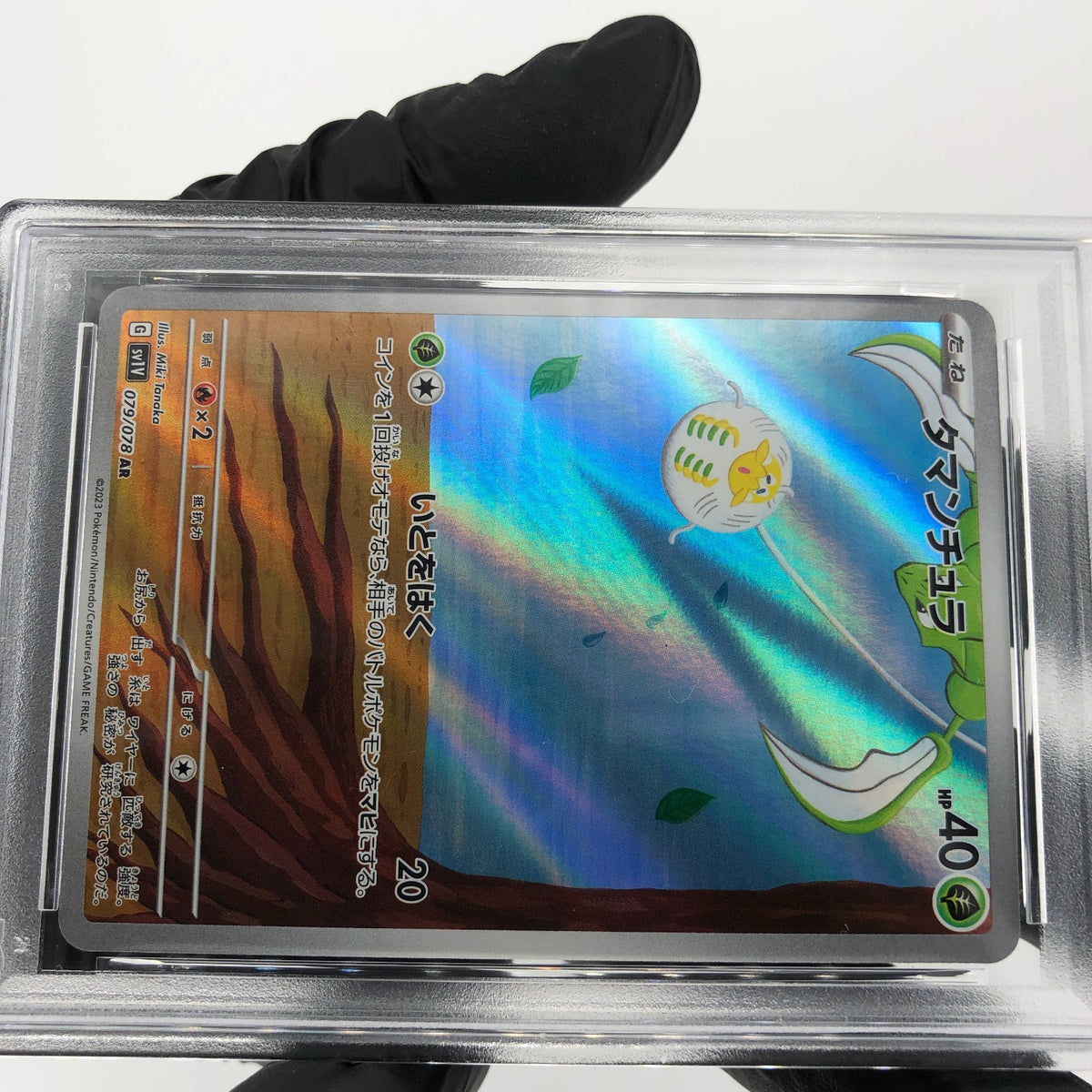 PSA 8 Pokemon Card Tarountula 079/078 AR SV1V Japanese Karte [8]