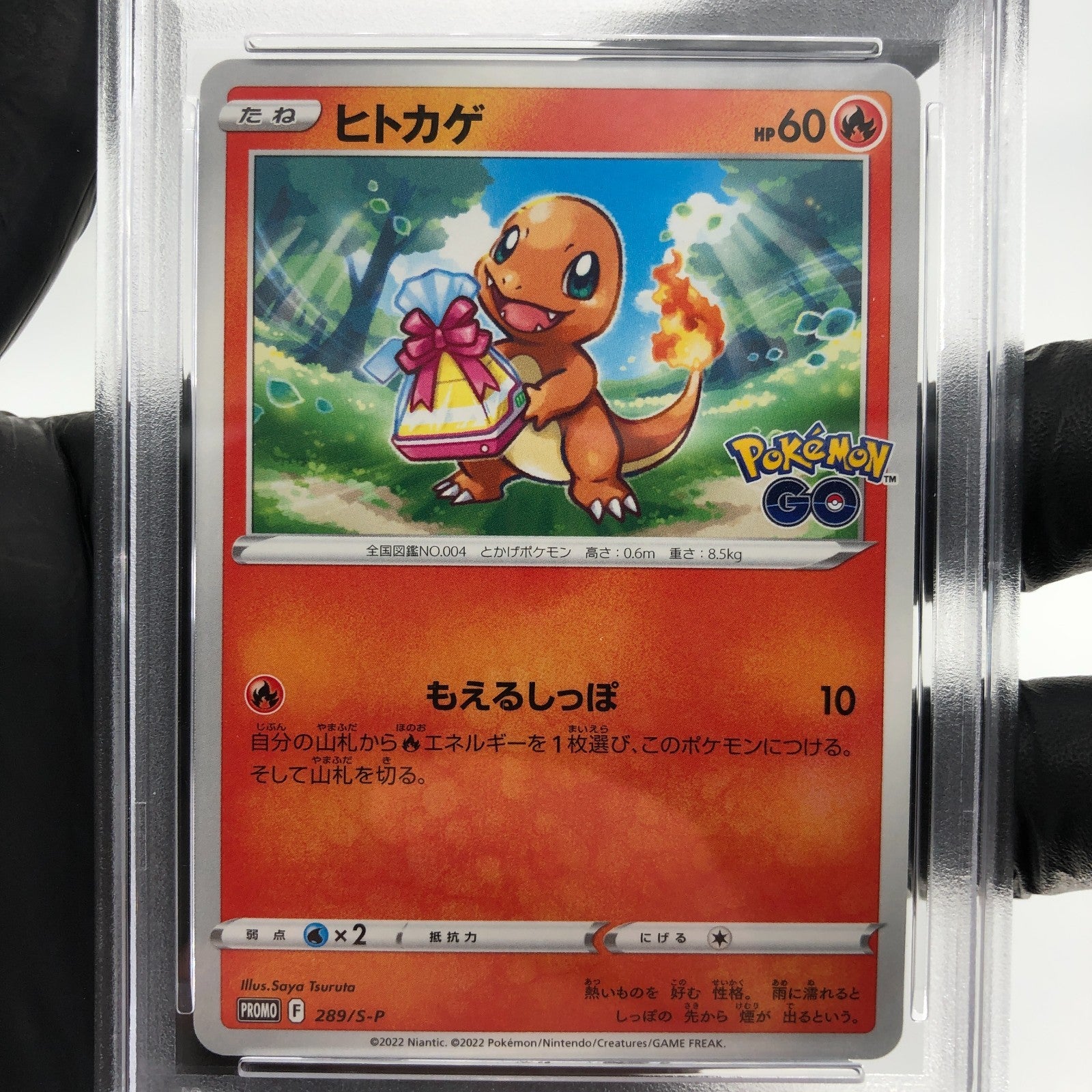 PSA 9 Pokemon Card Charmander 289/S-P Promo Go Japanese Karte [9]