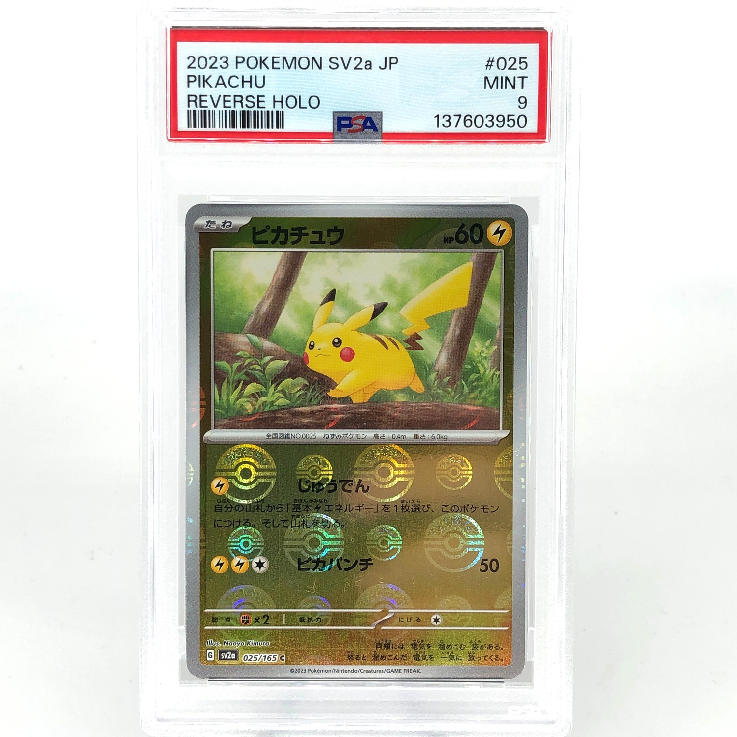 PSA 9 Pokemon Card Pikachu 025/165 C Pokeball SV2a Japanese Karte [9] 5