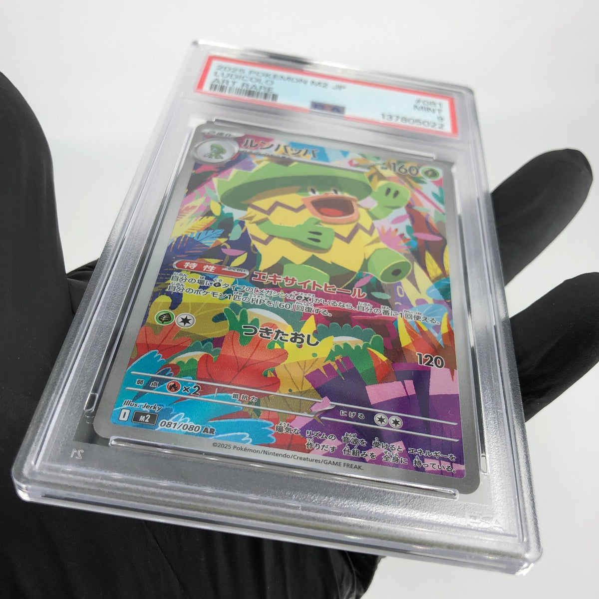 PSA 9 Pokemon Card Ludicolo 081/080 AR M2 Japanese Karte [9]