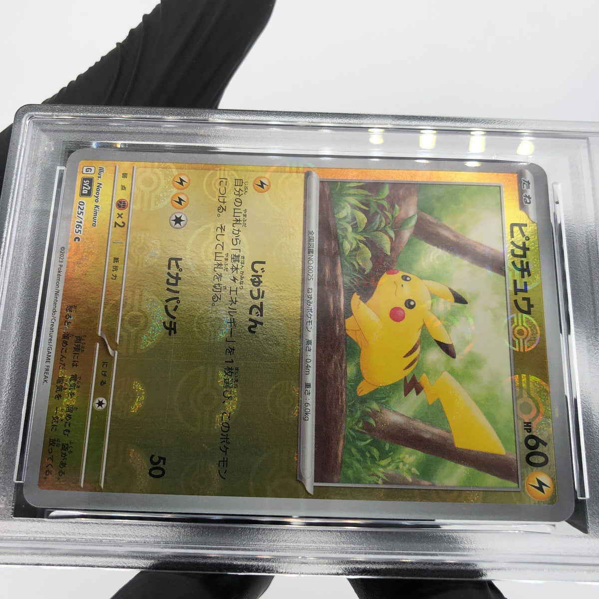 PSA 9 Pokemon Card Pikachu 025/165 C Pokeball SV2a Japanese Karte [9] 4