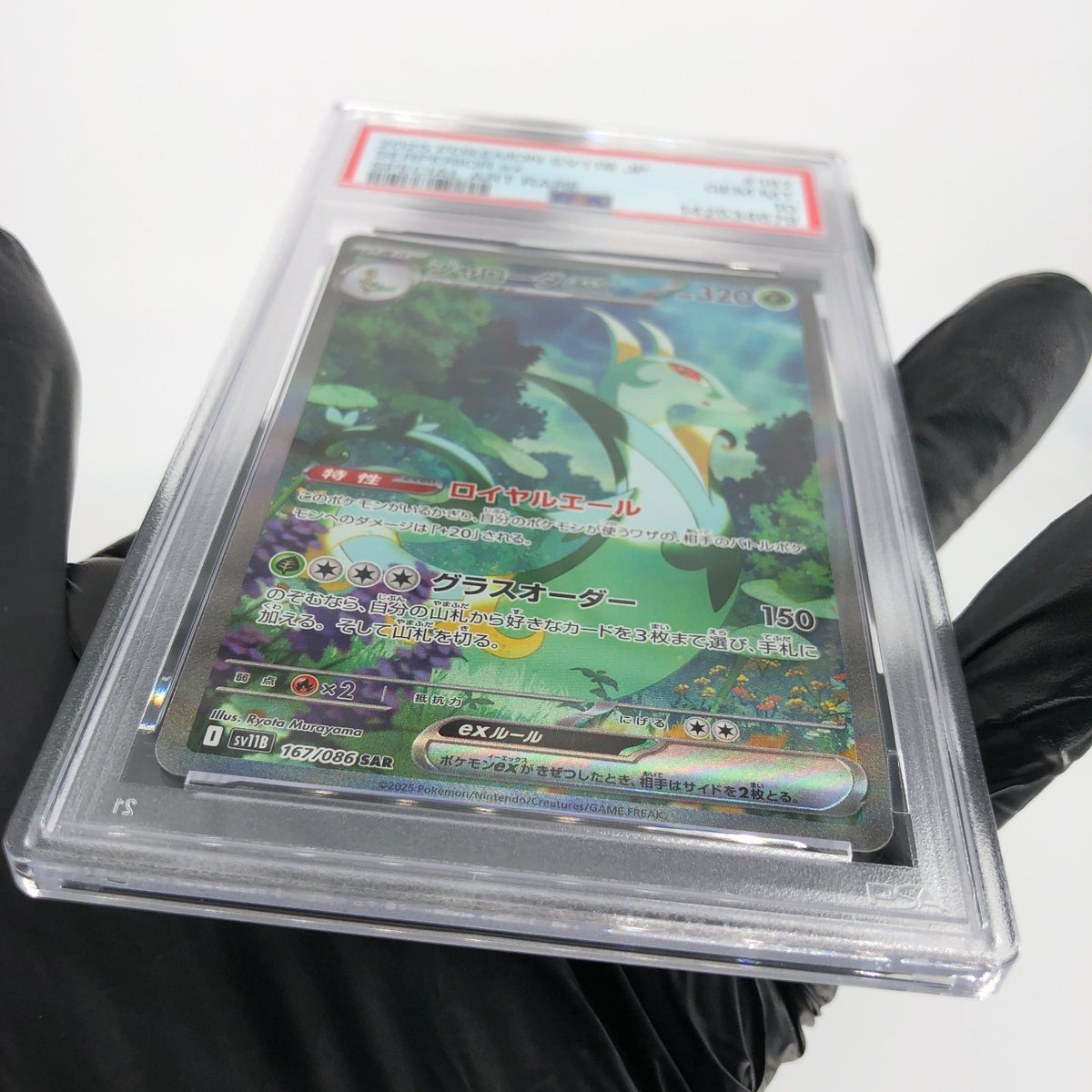 PSA 10 Pokemon Card Serperior 167/086 SAR SV11B Japanese Karte [10]