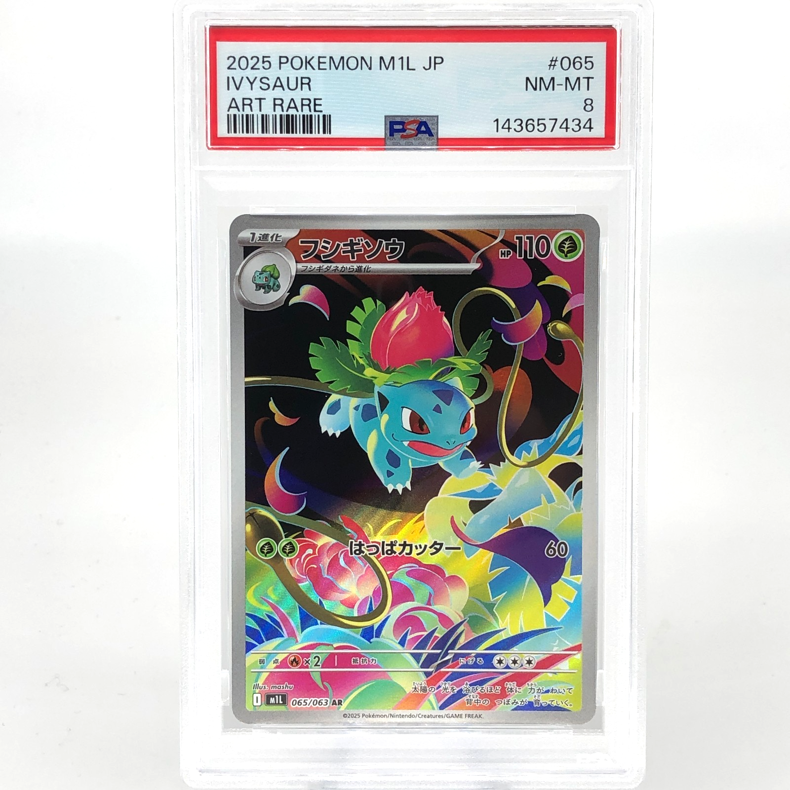 PSA 8 Pokemon Card Ivysaur 065/063 AR M1L Japanese Karte [8]