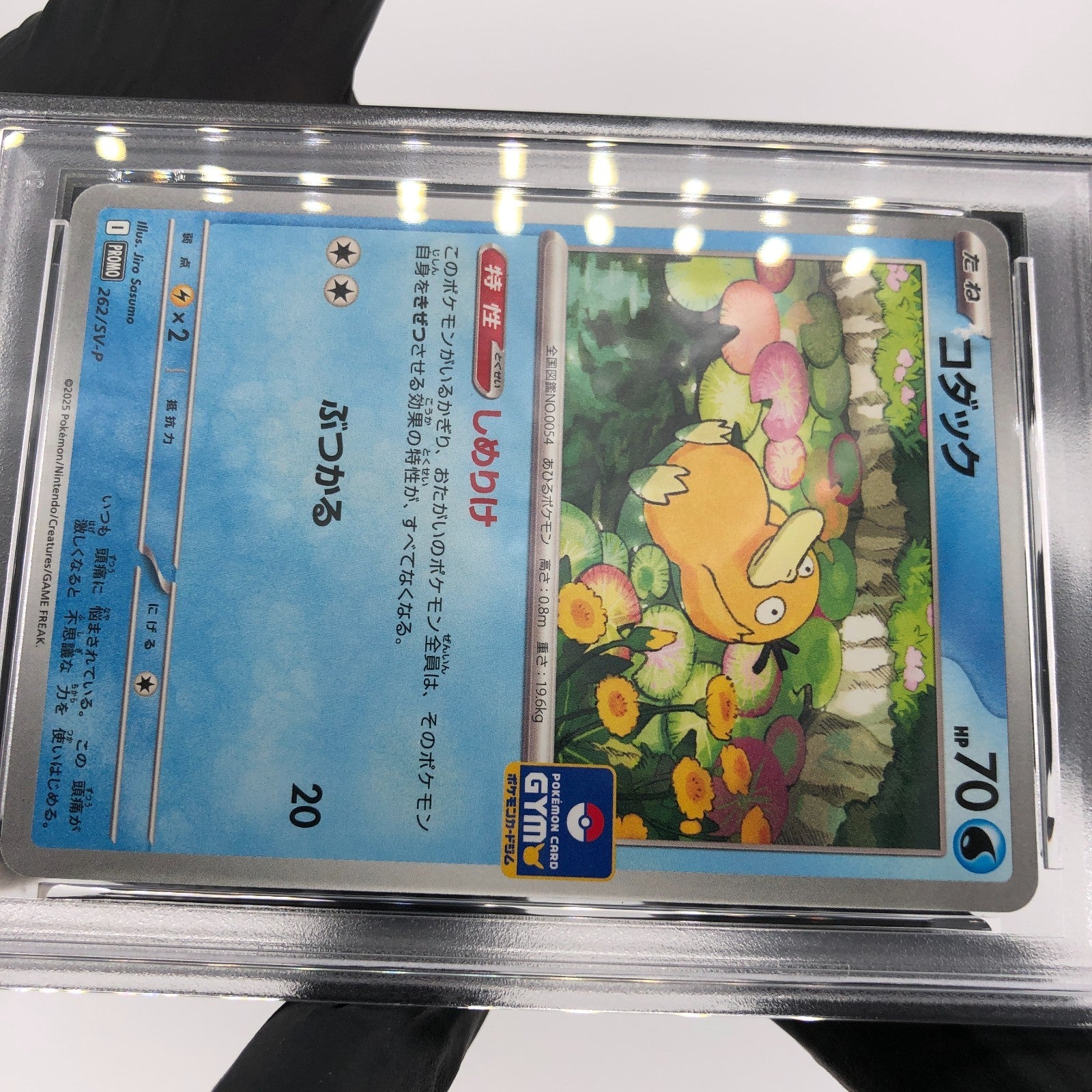 PSA 9 Pokemon Card Psyduck 262/SV-P Gym Promo Japanese Karte [9]