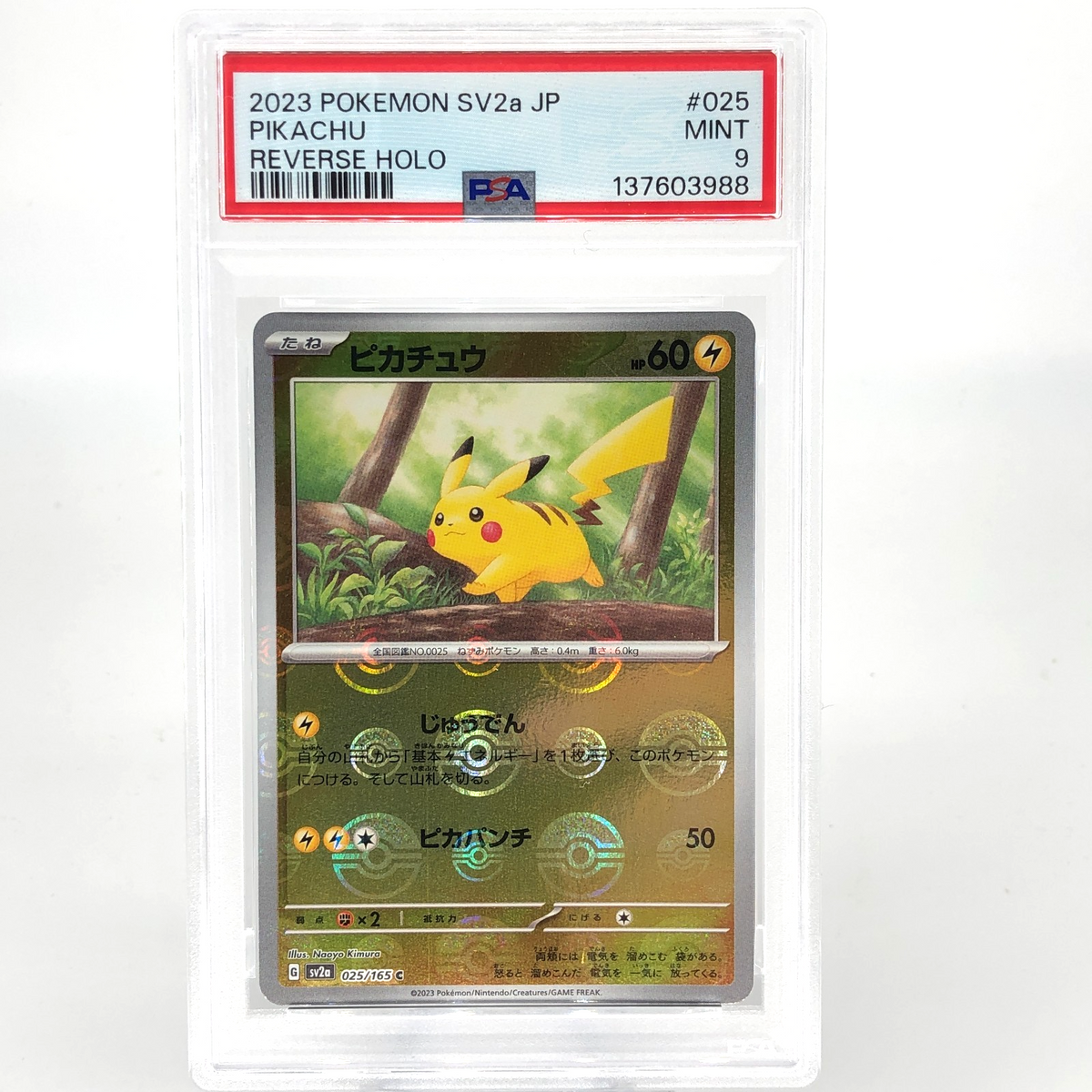 PSA 9 Pokemon Card Pikachu 025/165 C Pokeball SV2a Japanese Karte [9] 3