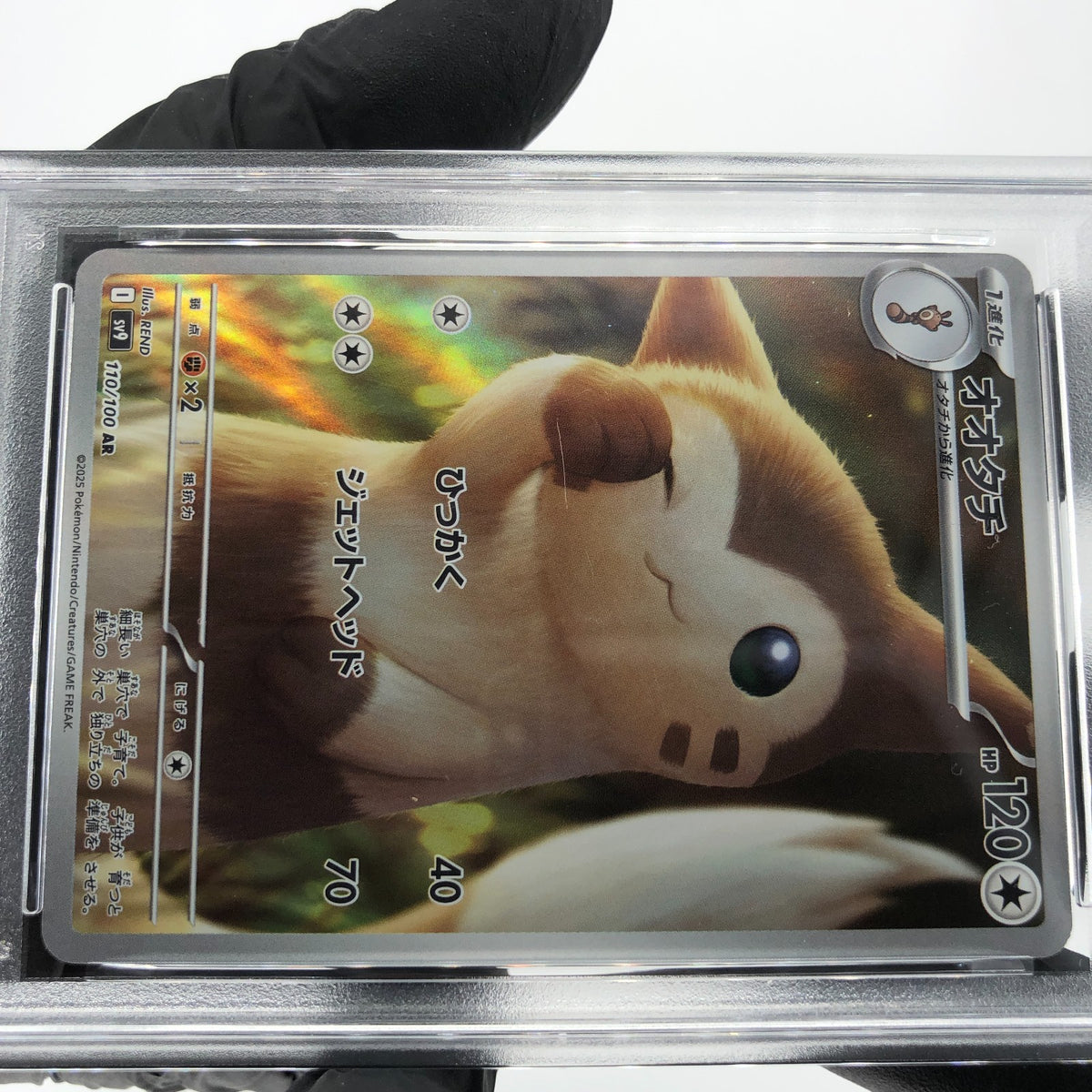 PSA 8 Pokemon Card Furret 110/100 AR SV9 Japanese Karte [8]