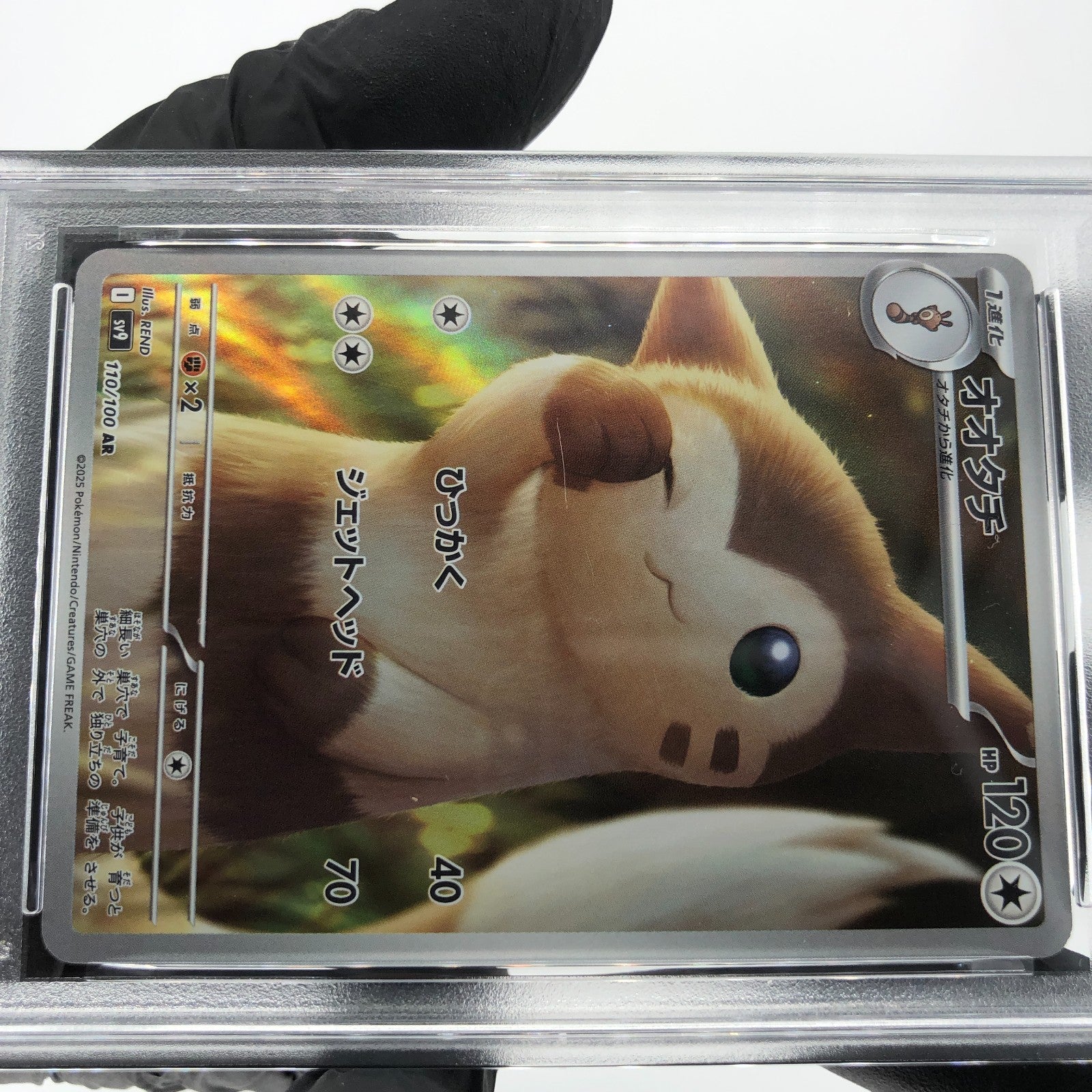 PSA 8 Pokemon Card Furret 110/100 AR SV9 Japanese Karte [8]