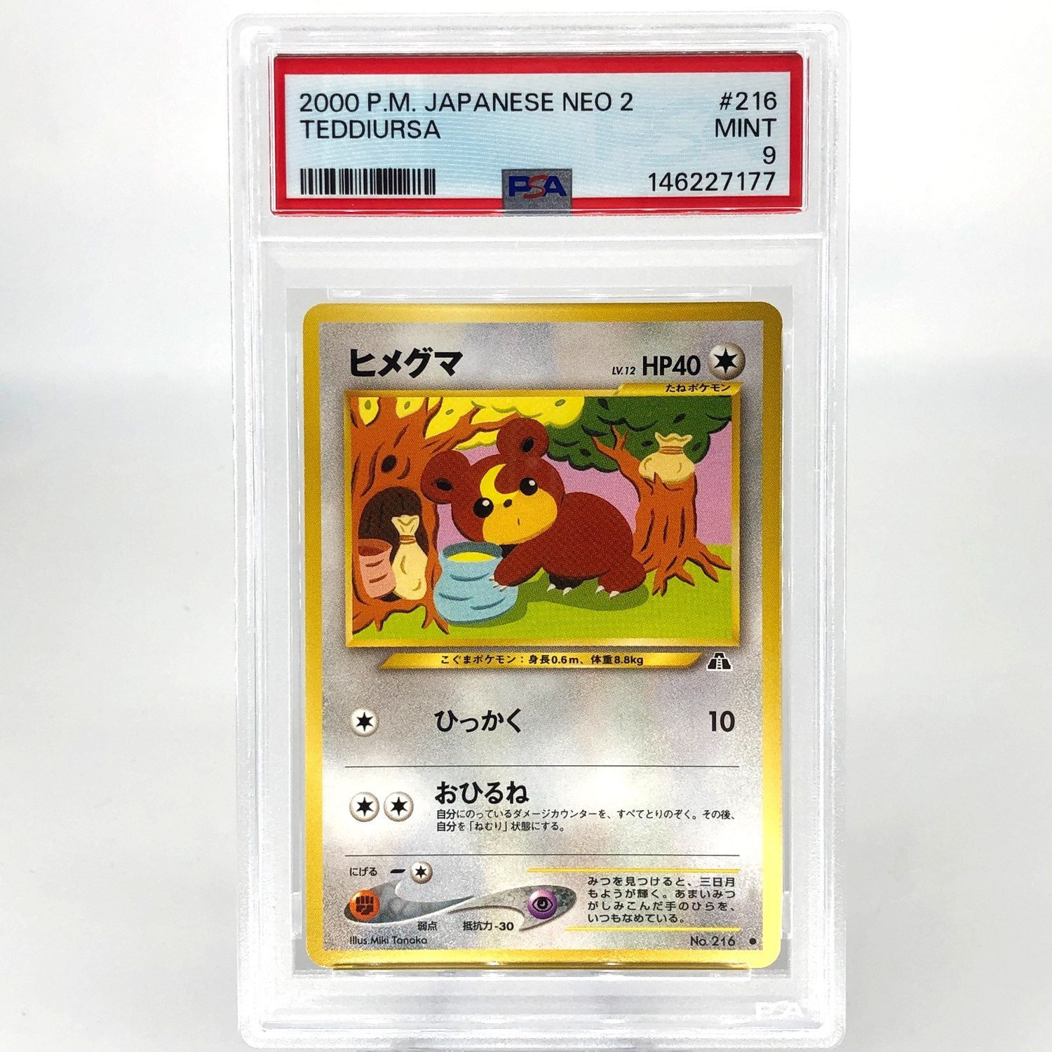 PSA 9 Pokemon Card Teddiursa No.216 Neo 2 Japanese 2000 Karte [9]