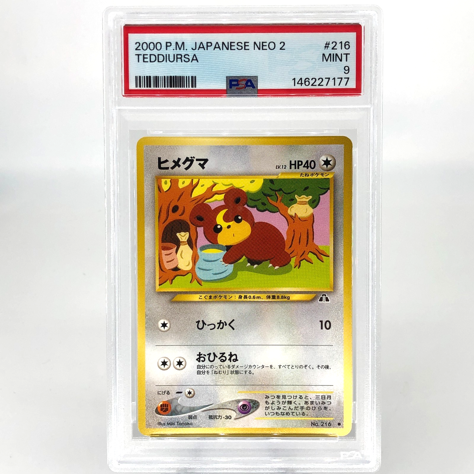 PSA 9 Pokemon Card Teddiursa No.216 Neo 2 Japanese 2000 Karte [9]