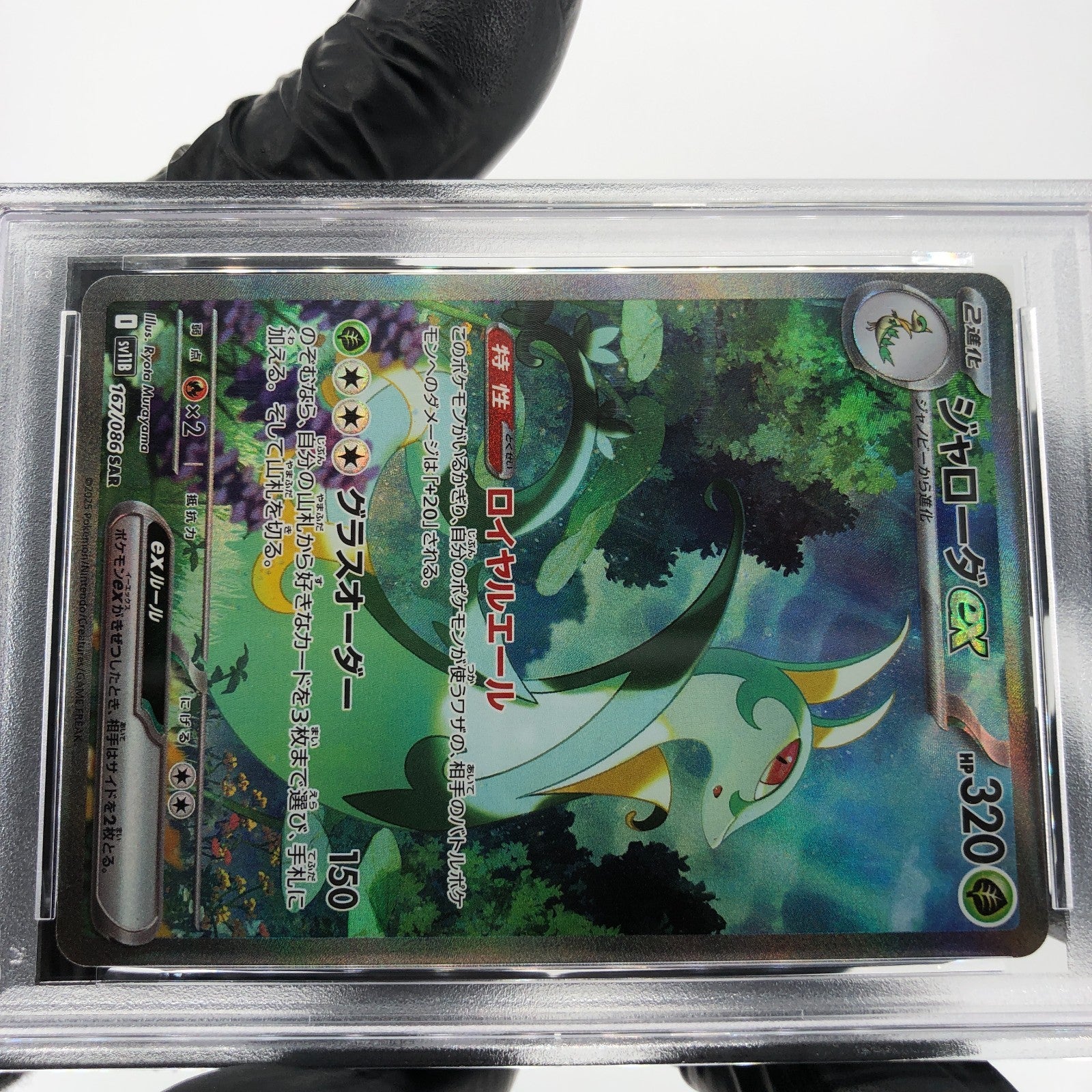 PSA 10 Pokemon Card Serperior 167/086 SAR SV11B Japanese Karte [10]